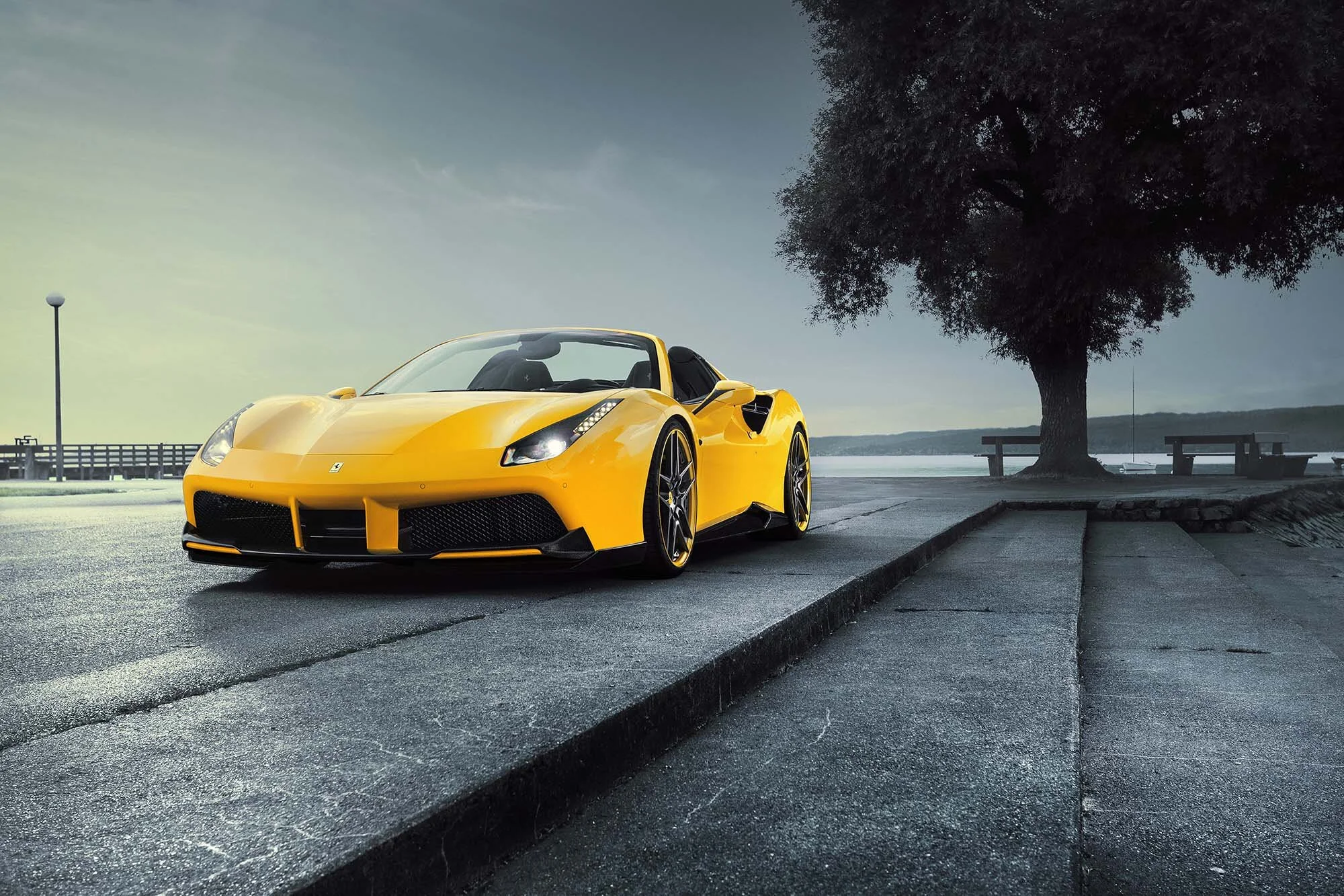 A #465 488 Spider web.jpg