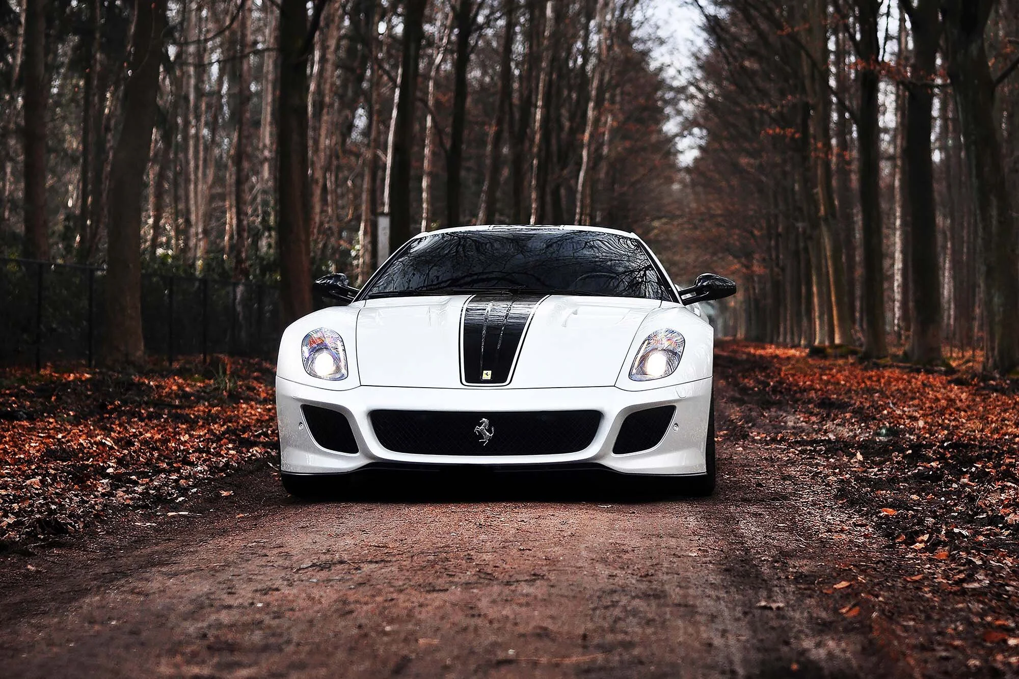 A #470 599 GTO web.jpg