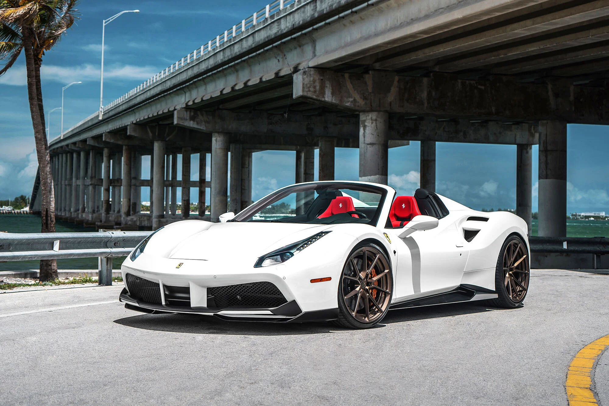 A #605 488 Spider web.jpg