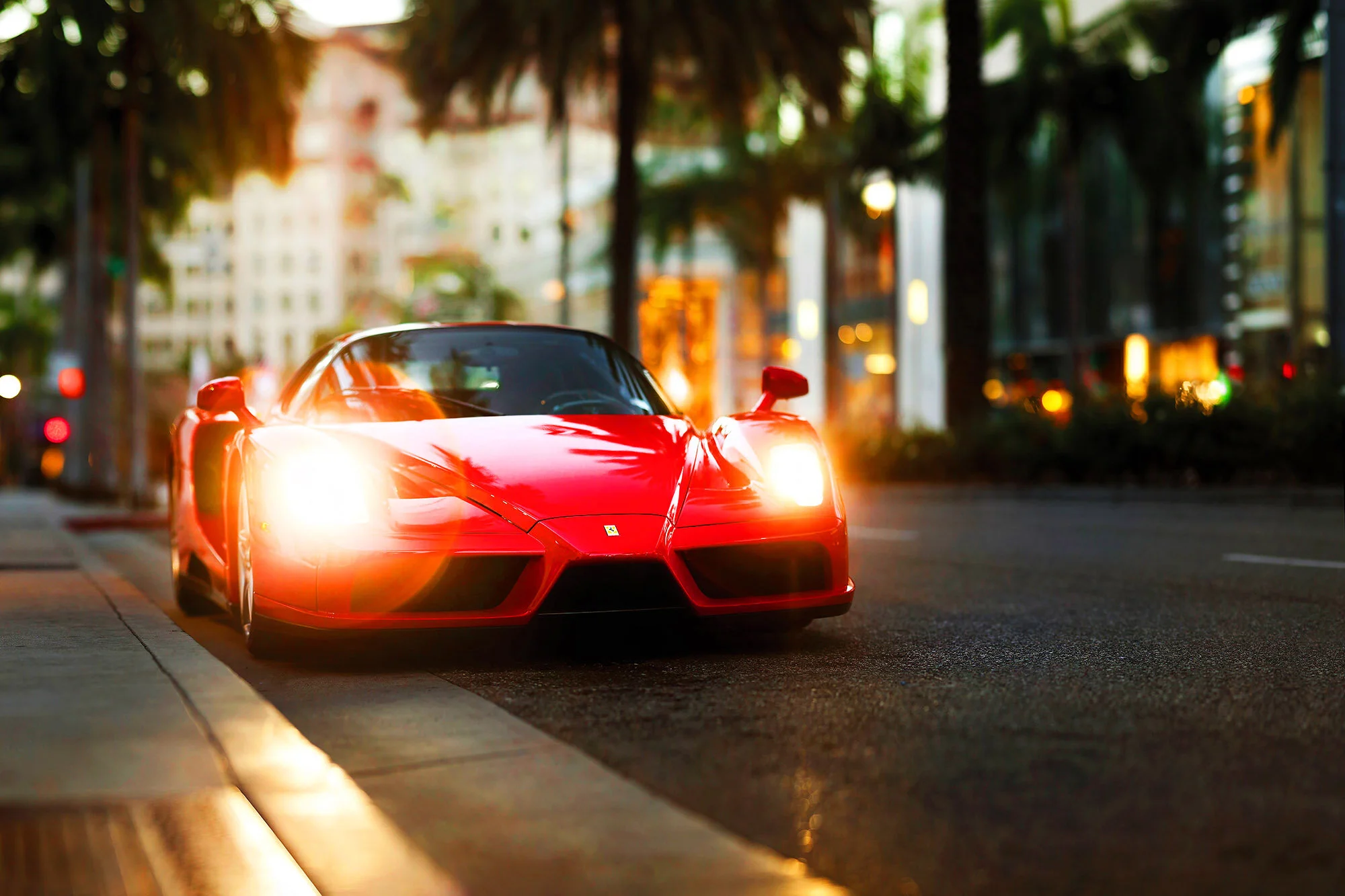 A #644 Enzo web.jpg