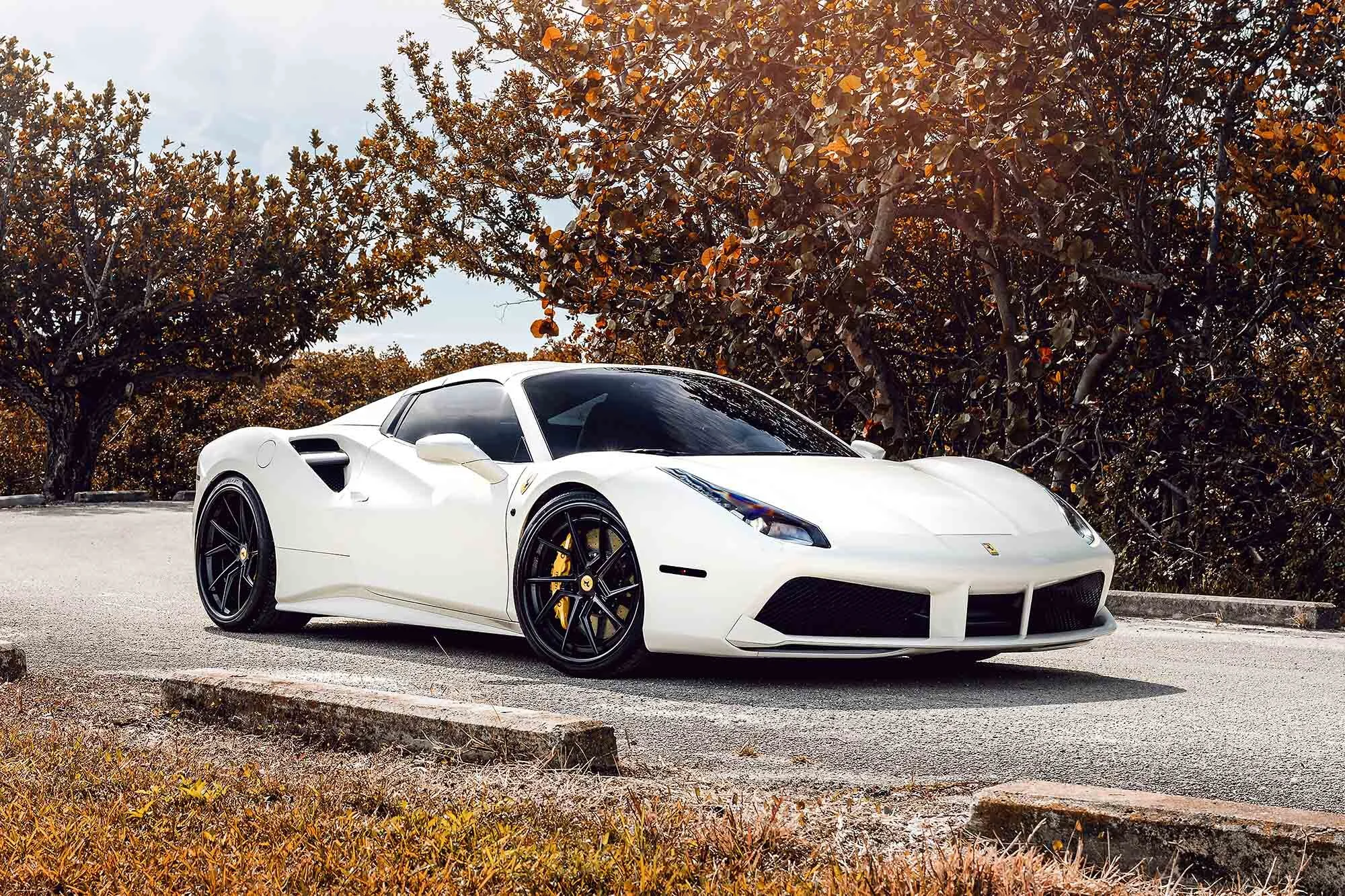 A #700 488 Spider web.jpg