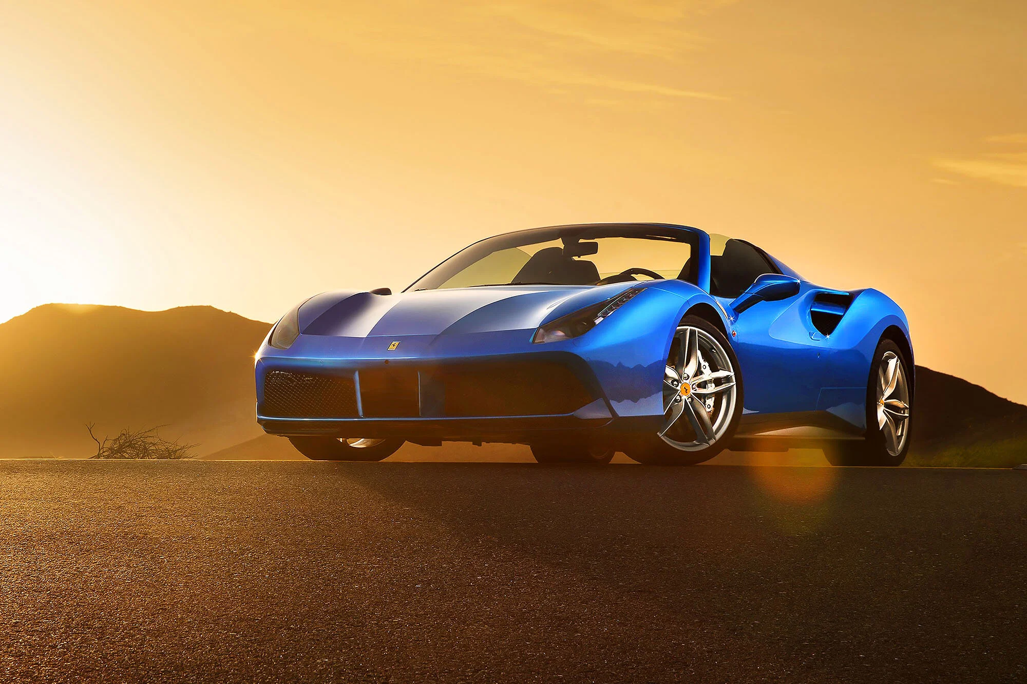 A #735 488 Spider web.jpg