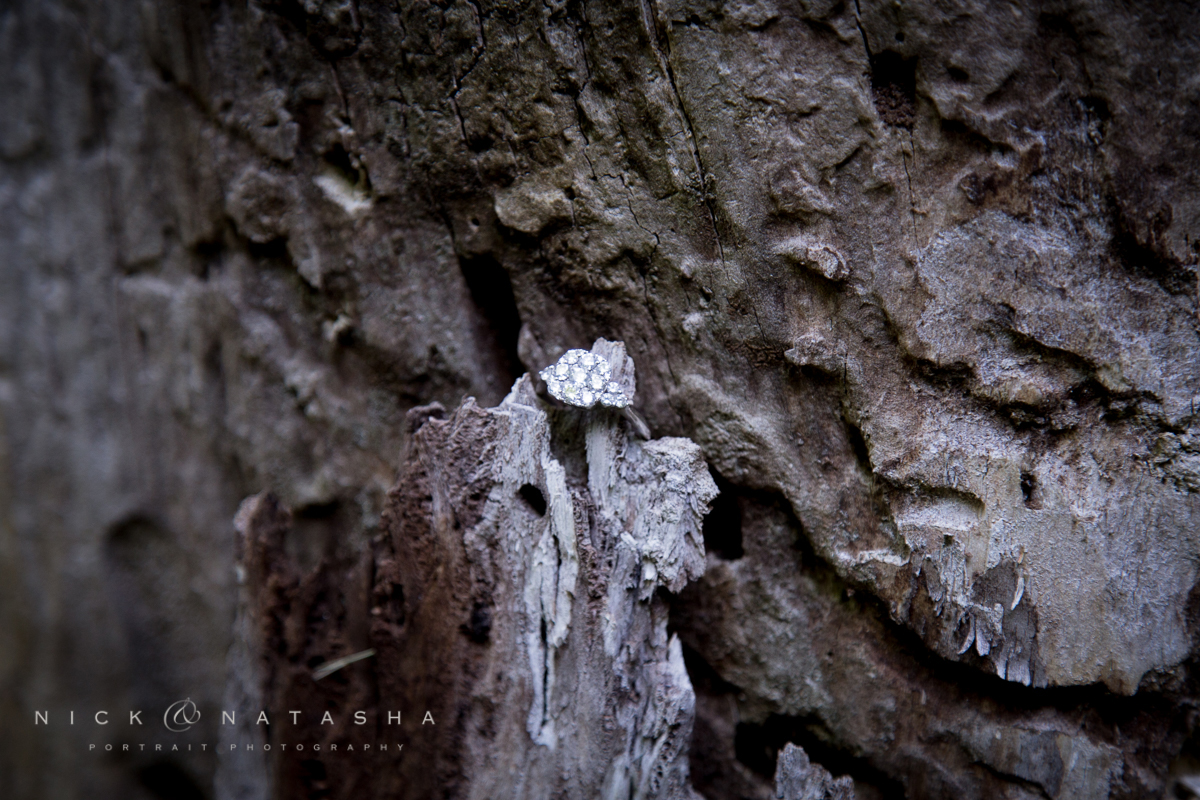 Nick_Natasha_Photography©2016-6820.jpg