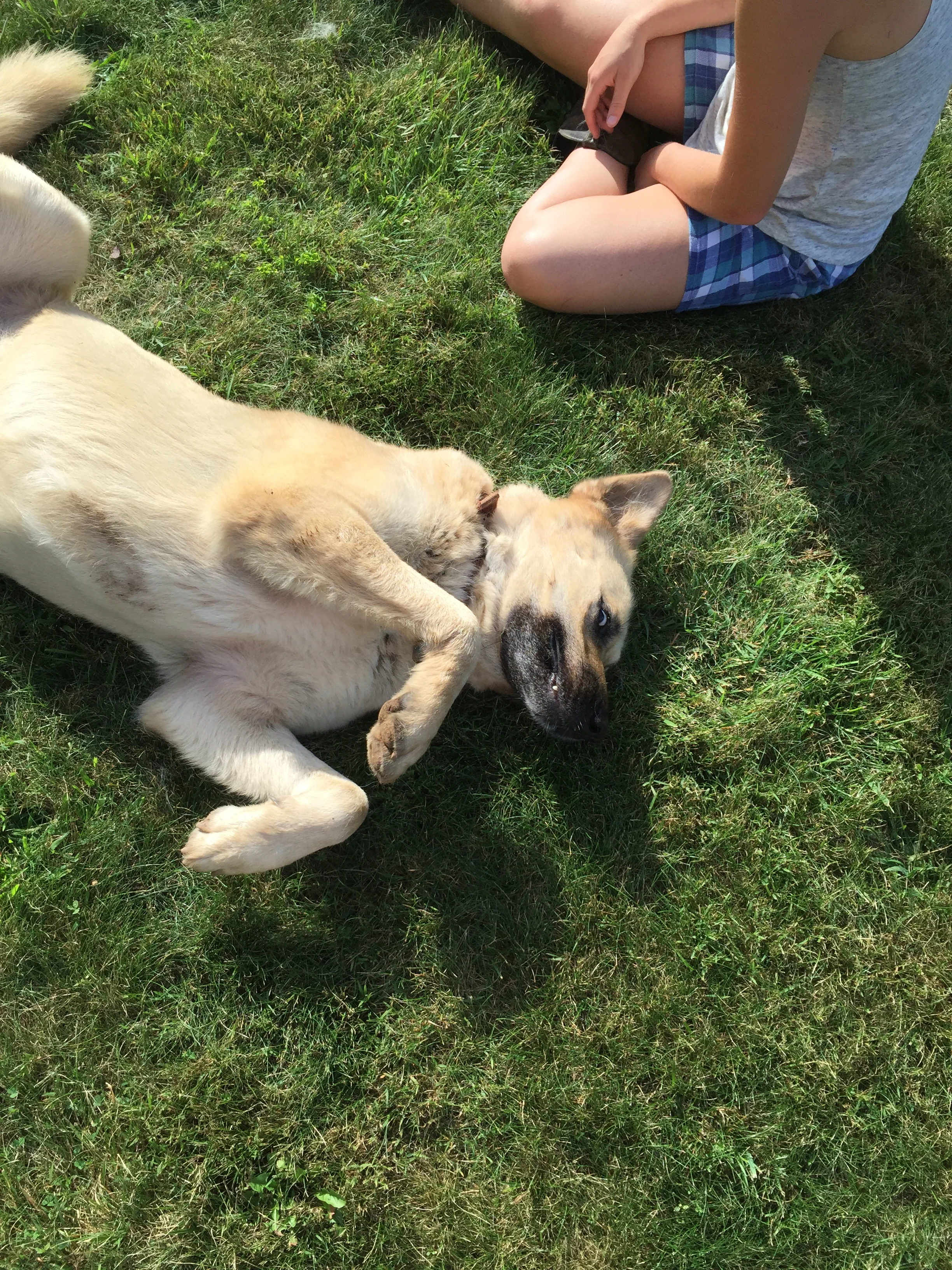 2015-09-07 16.55.38.jpg