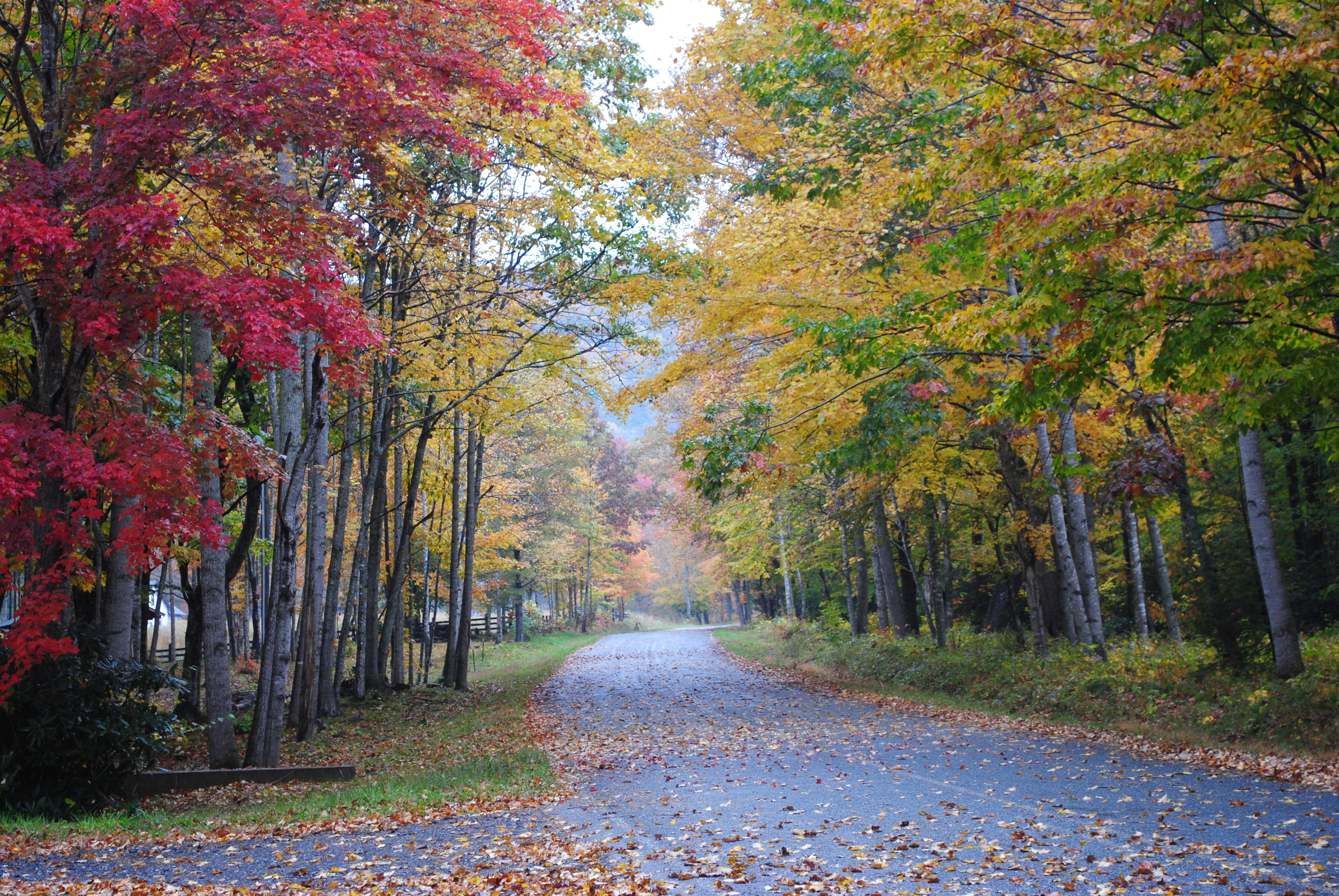   Willet Ponds Farm   Every season has its charm:&nbsp;we welcome visitors year round   Stay with us  