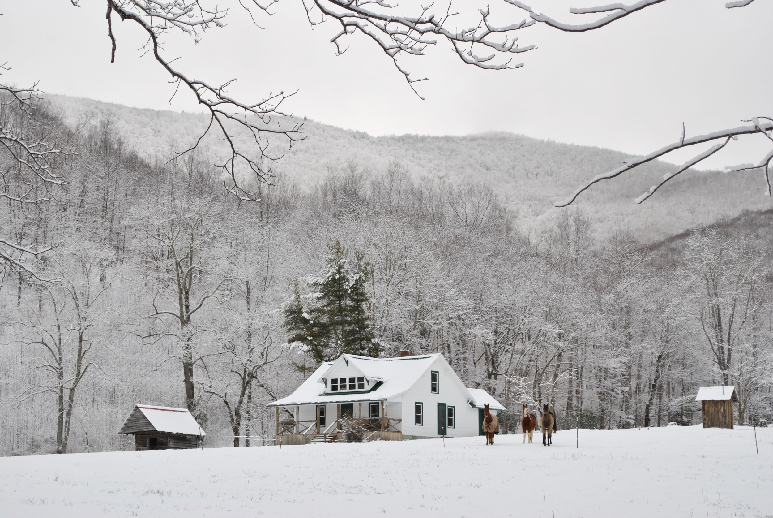 The Pioneer Homestead in Winter