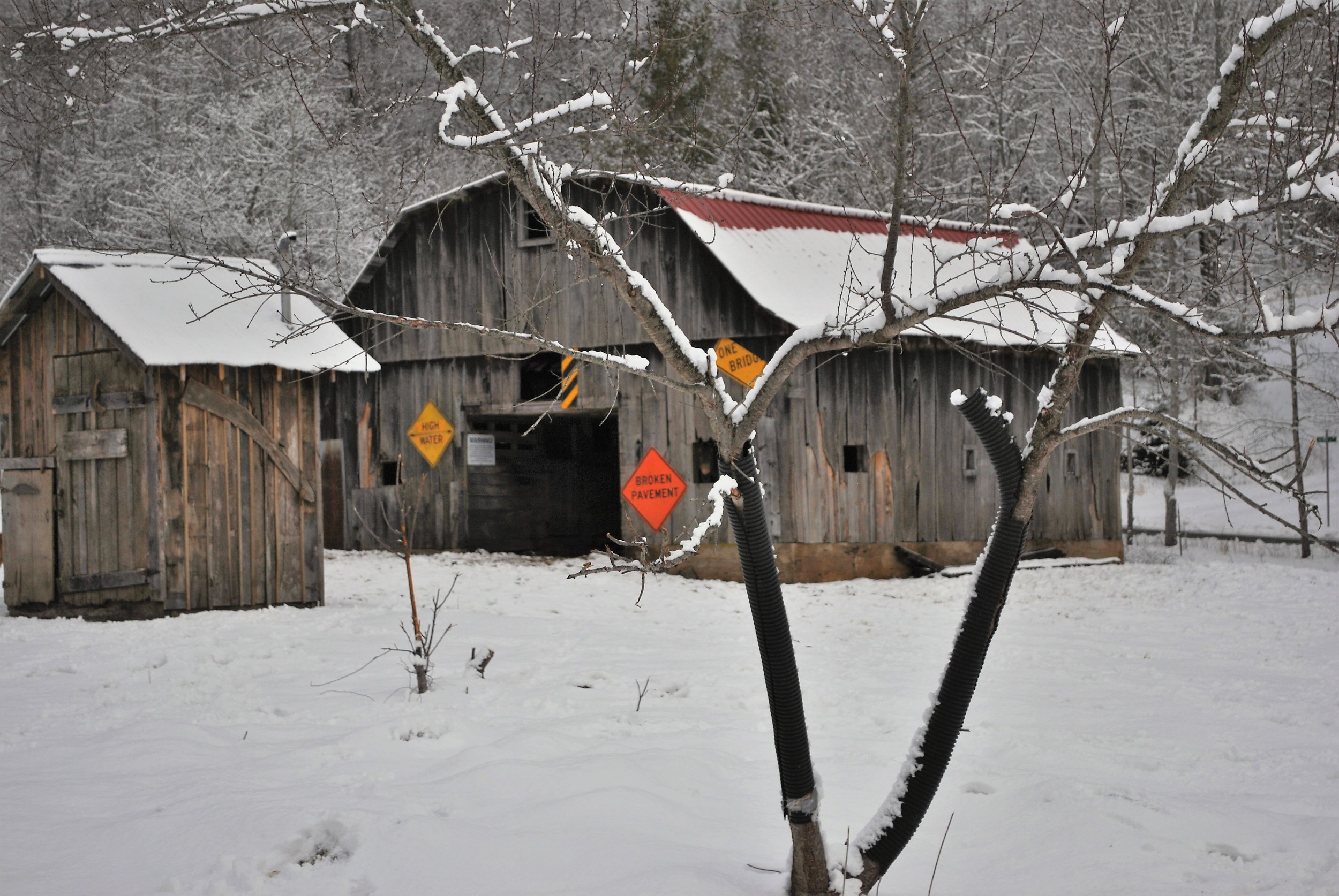 The Barn and Outhouse 