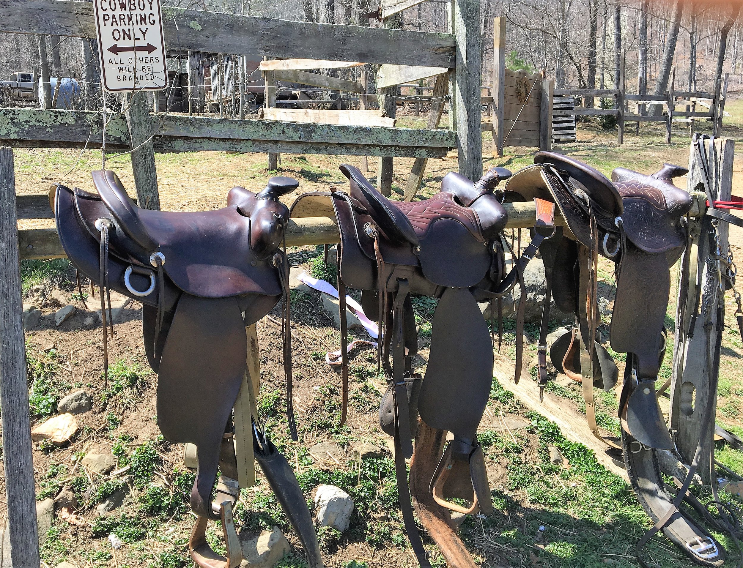 Spring Saddle Cleaning