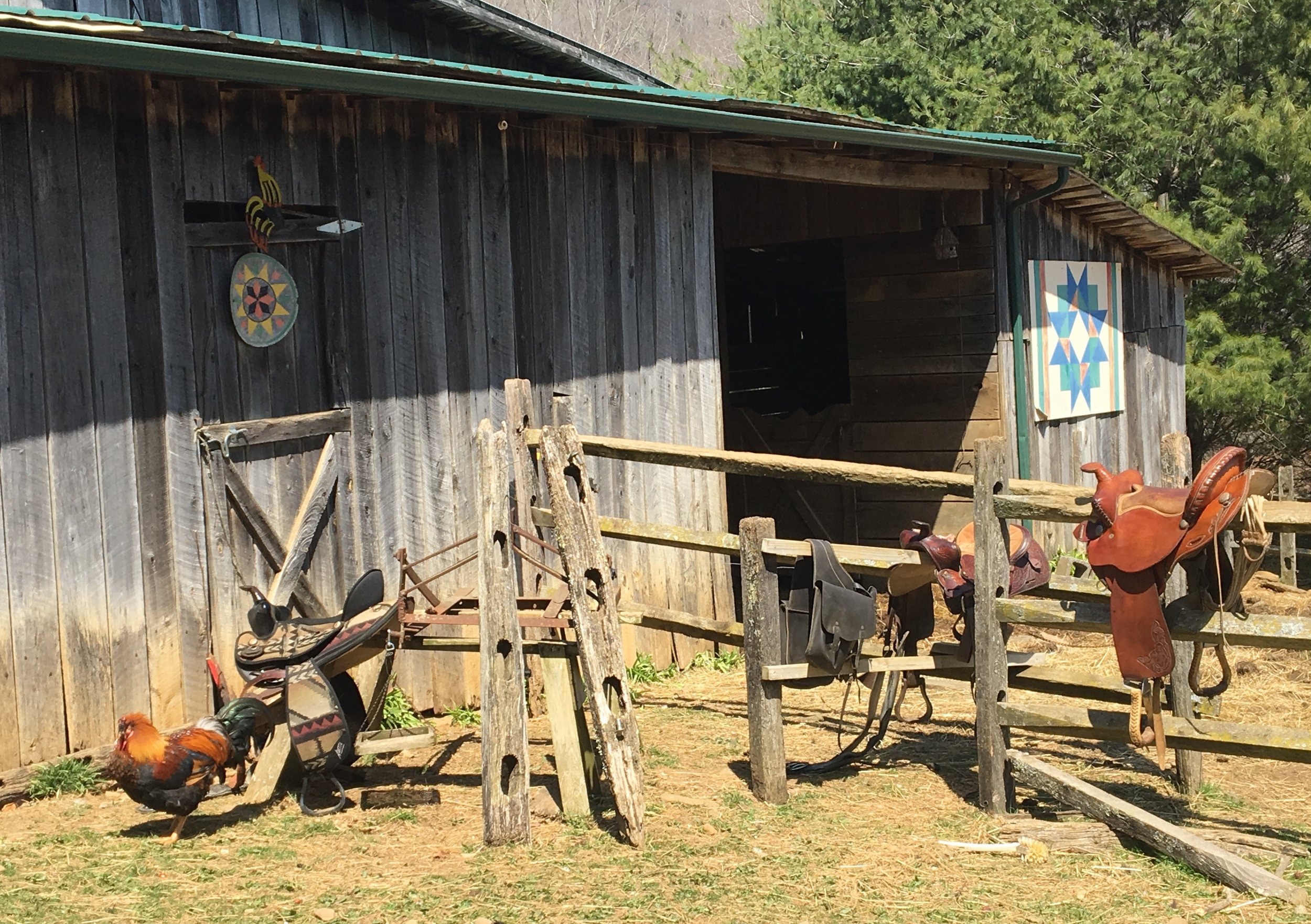 Spring Saddle Cleaning