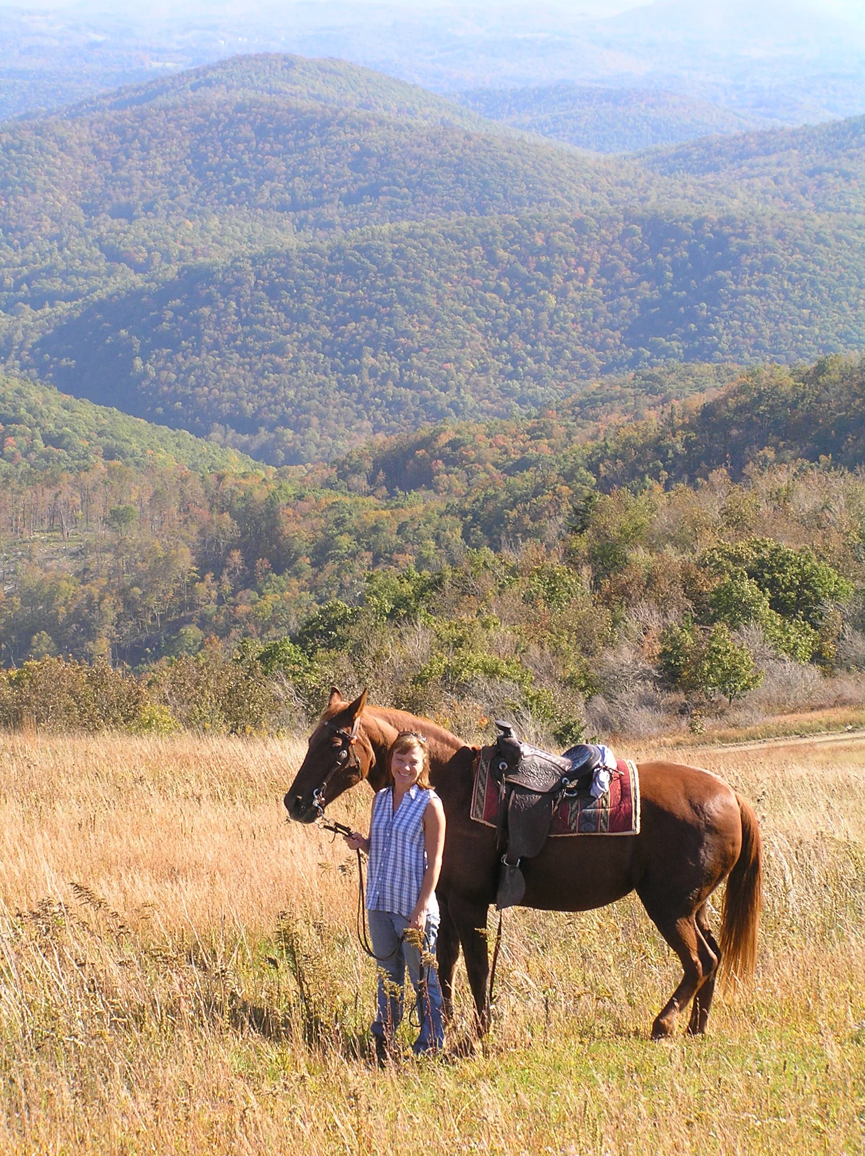 Bald Mountain (2011)