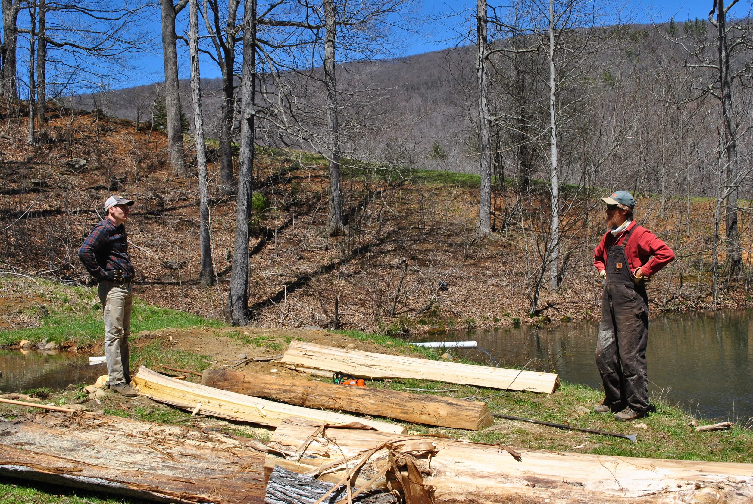 Three in One:  The Tale of a Split Rail Fence