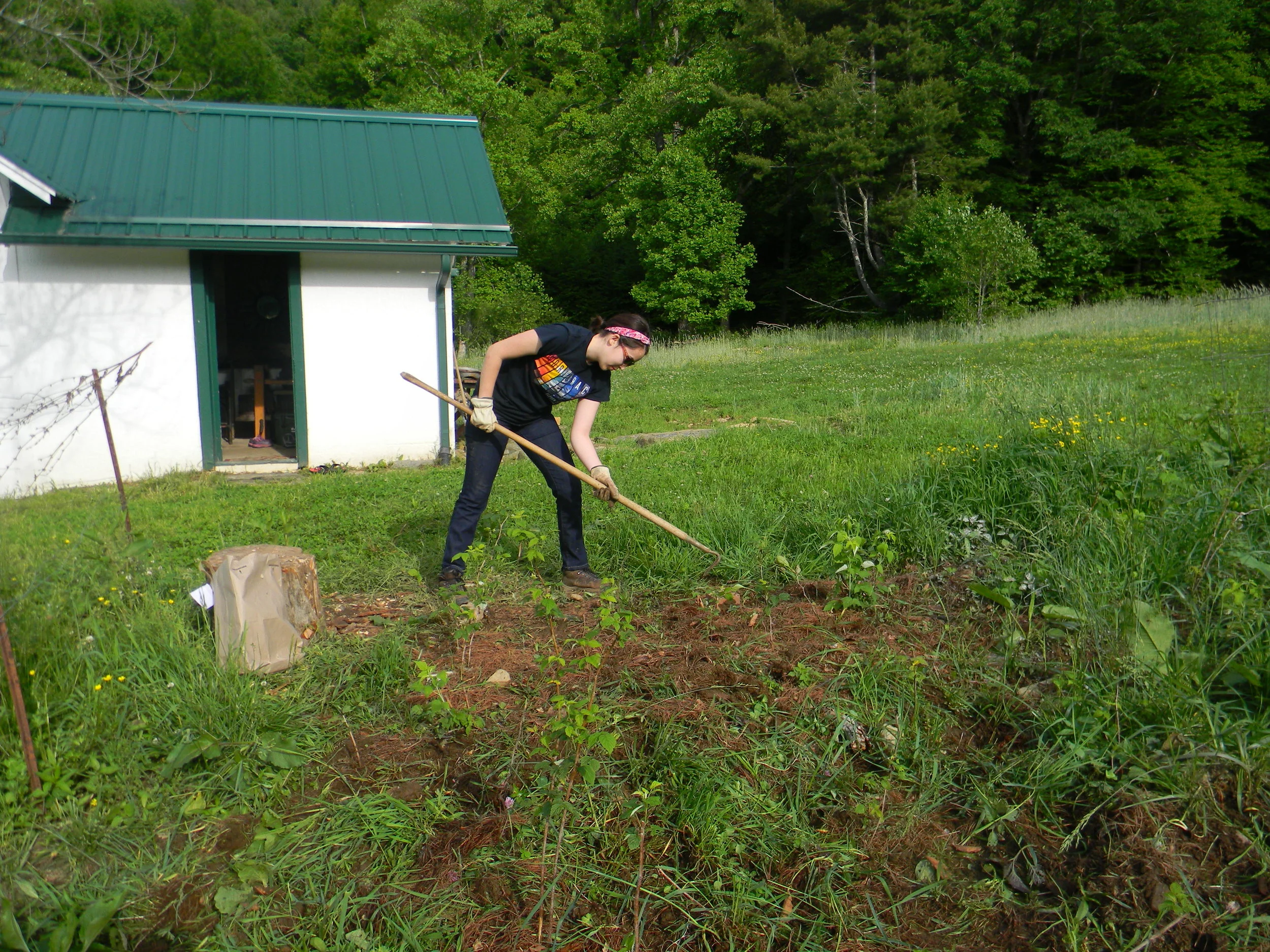 Weeding.JPG