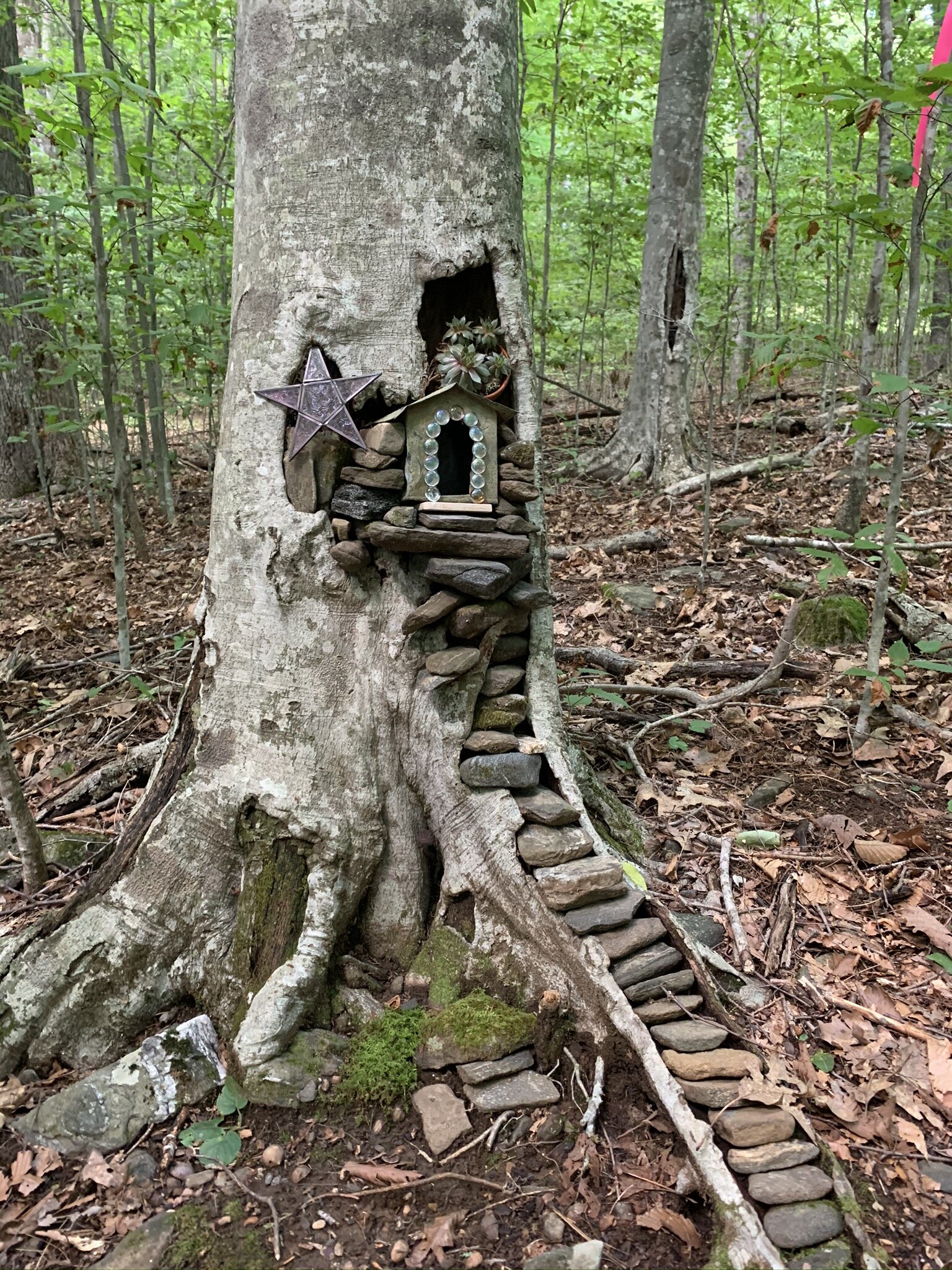 Visit The Fairy Forest — Willet Ponds Farm