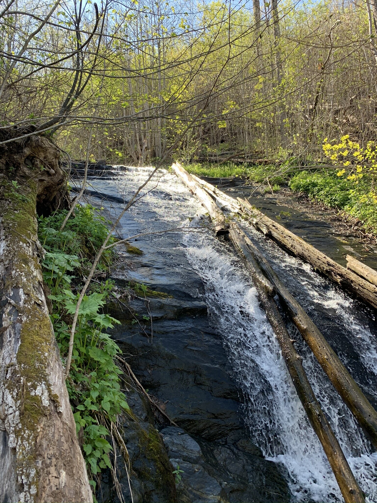 Hike to nearby waterfalls