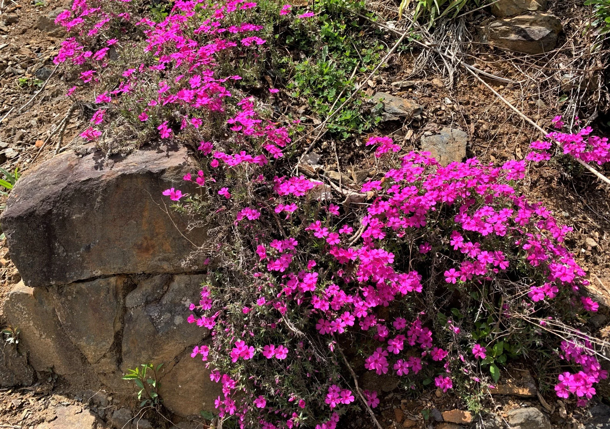 April is the Cruelest Month