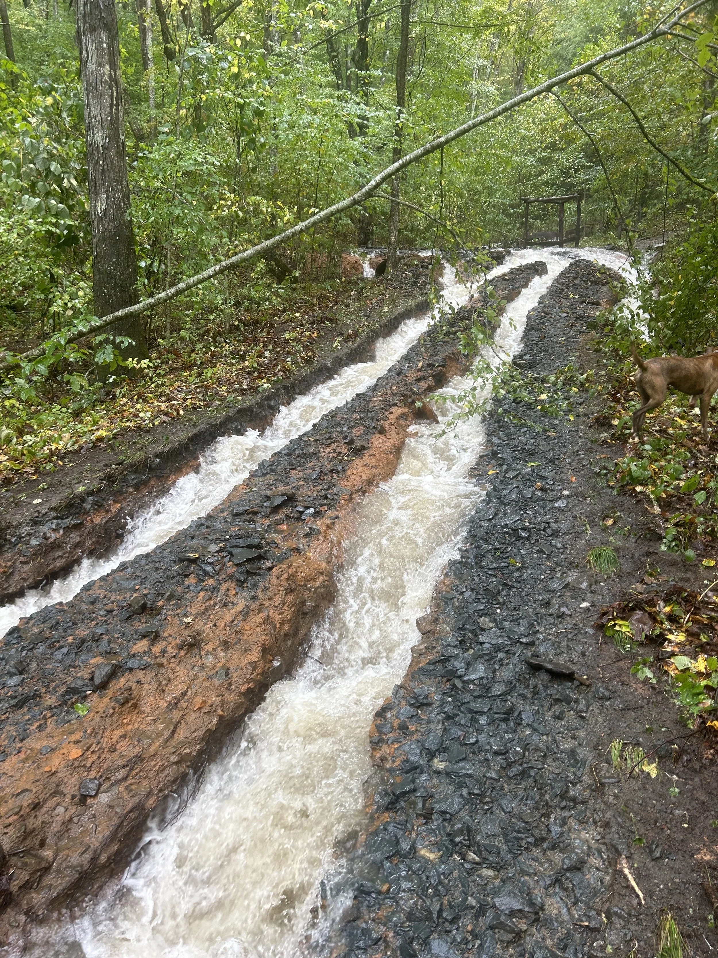 Going with the Flow