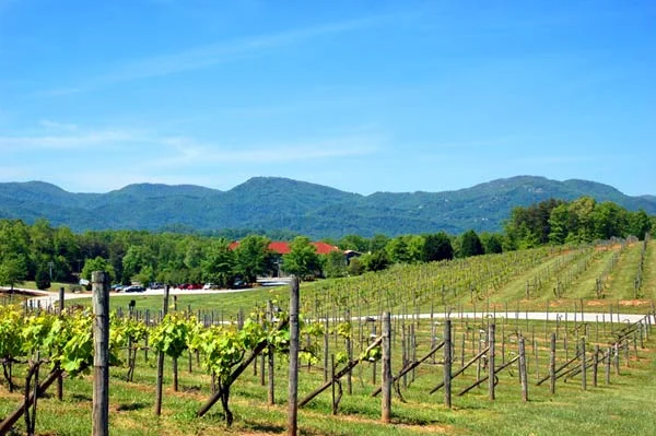 Cliff's Valley Book Club, Traveler's Rest SC