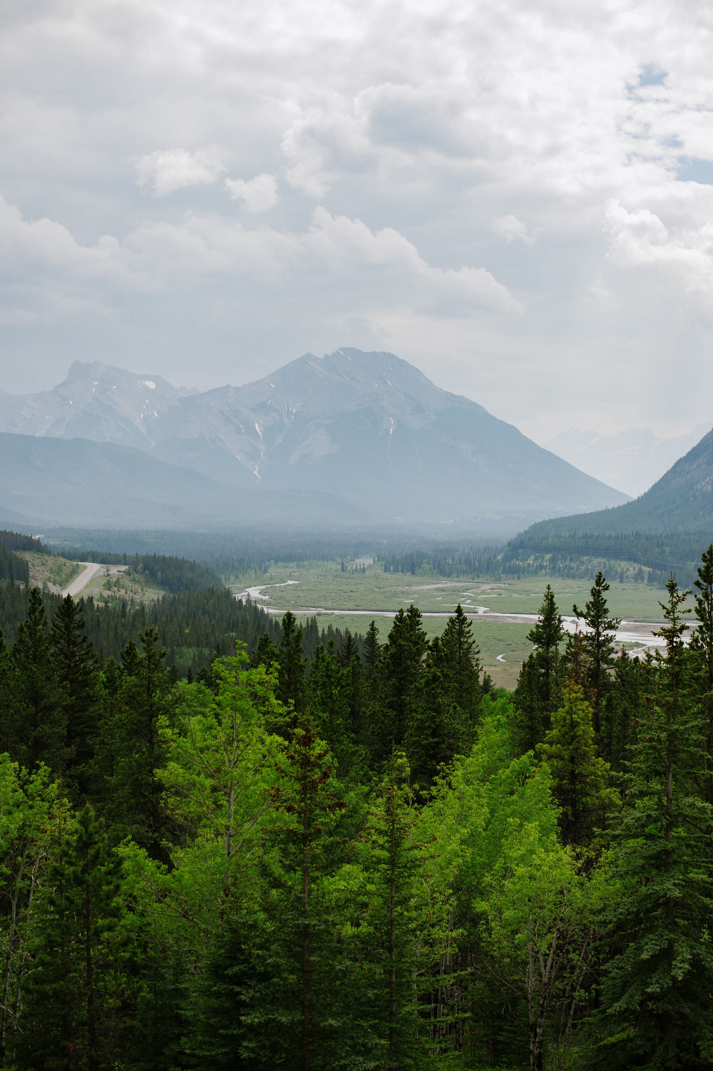 Cassandra_Derek_Kananaskis_2023_YYC_Wedding_Photography_CDSPhoto_HR079.jpg