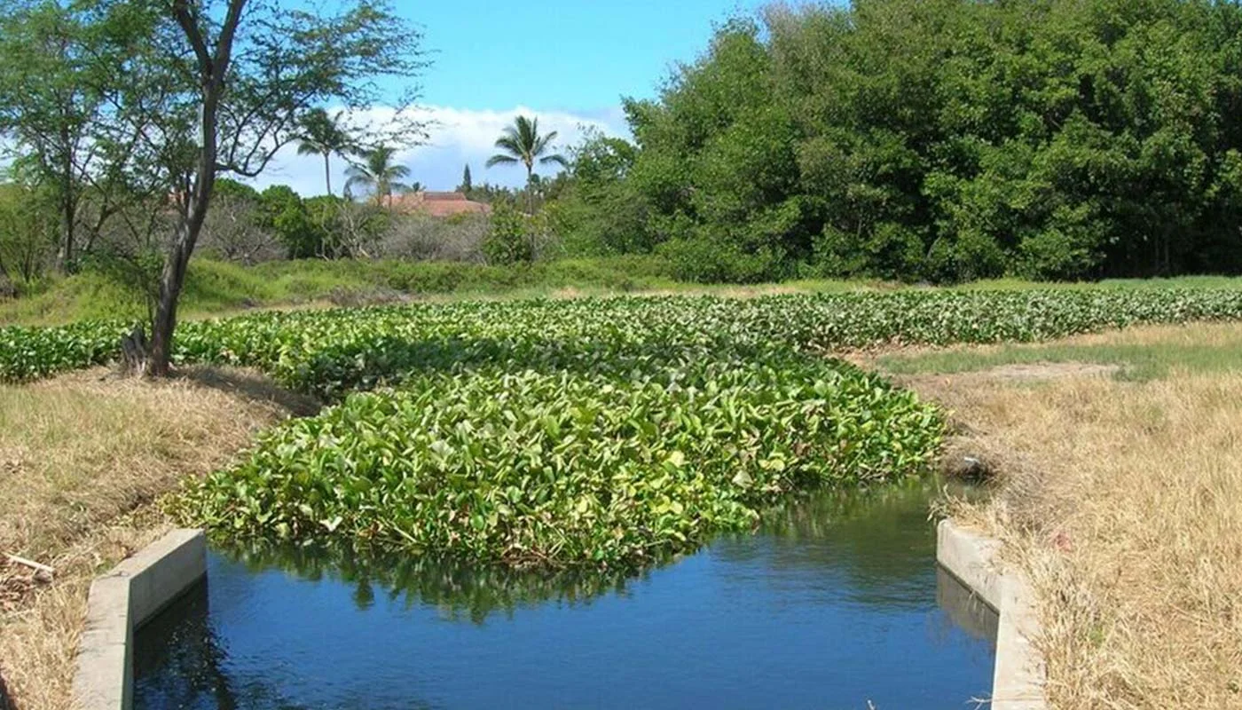 enviroimpact1.jpg