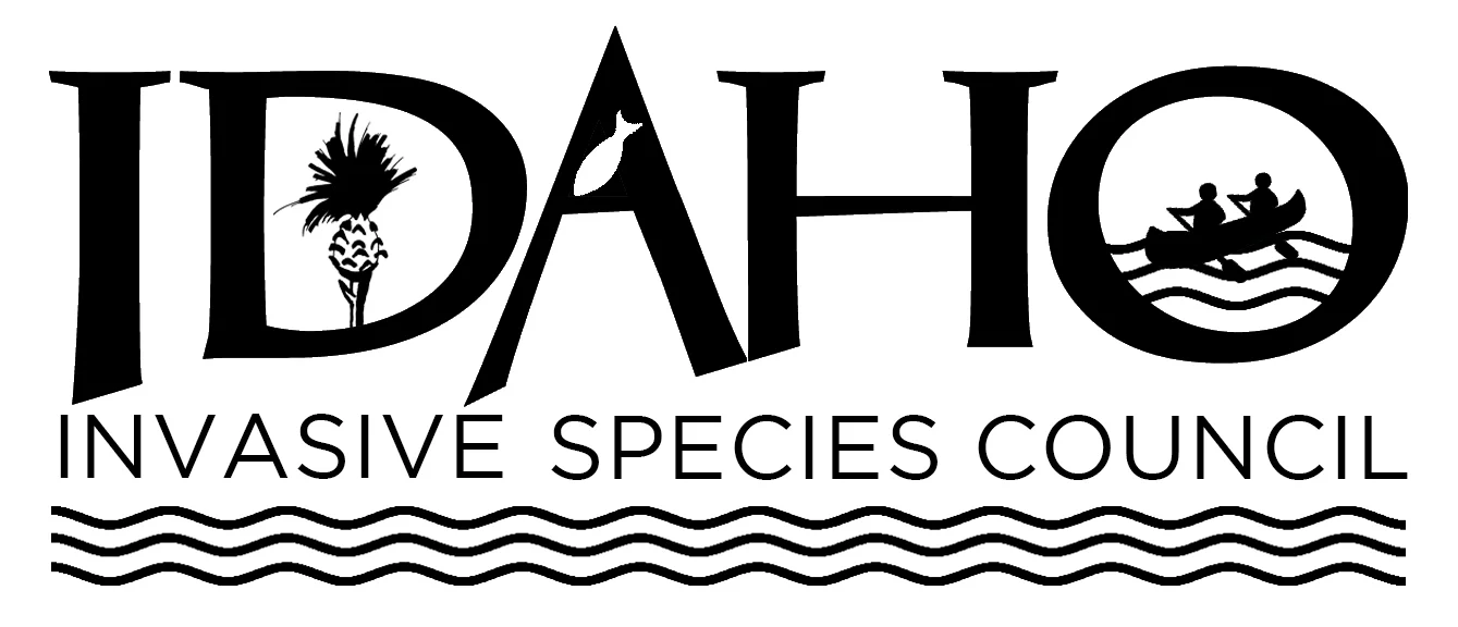 logo1.jpg
