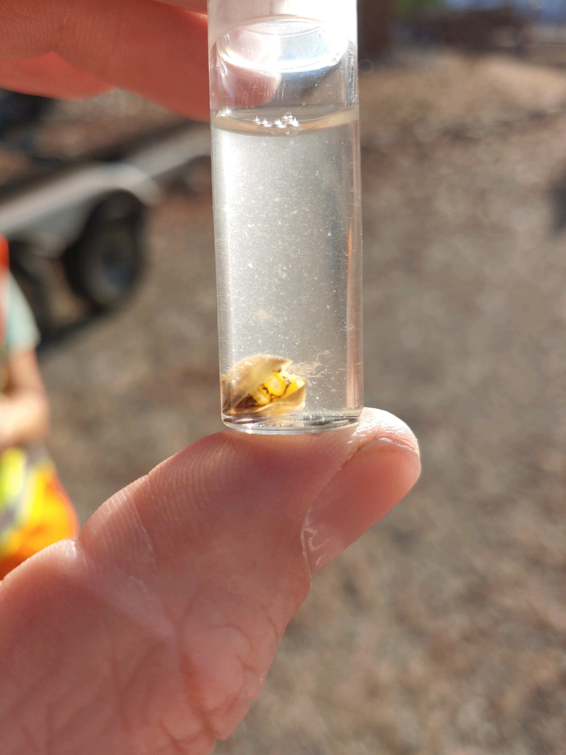 Watercraft Inspections — Invasive Species of Idaho