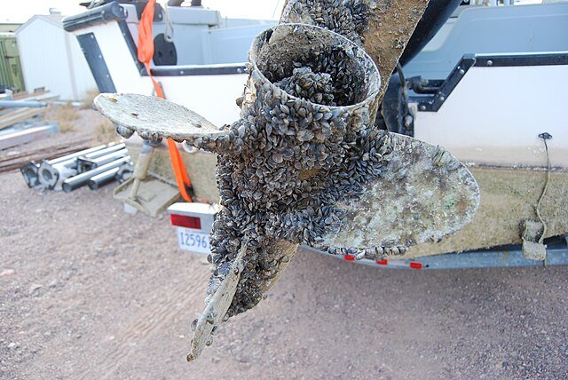 Fouled Boat Prop - National Park Service, Lake Mead, Arizona