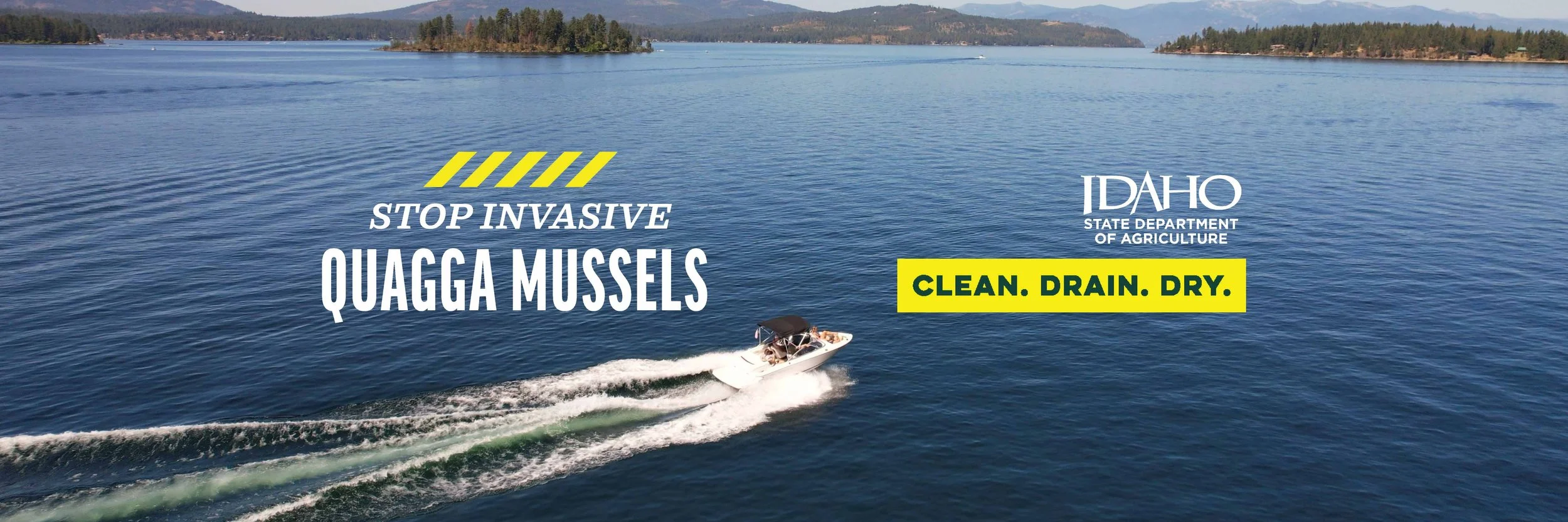 IS Website Header-2 (3).jpg