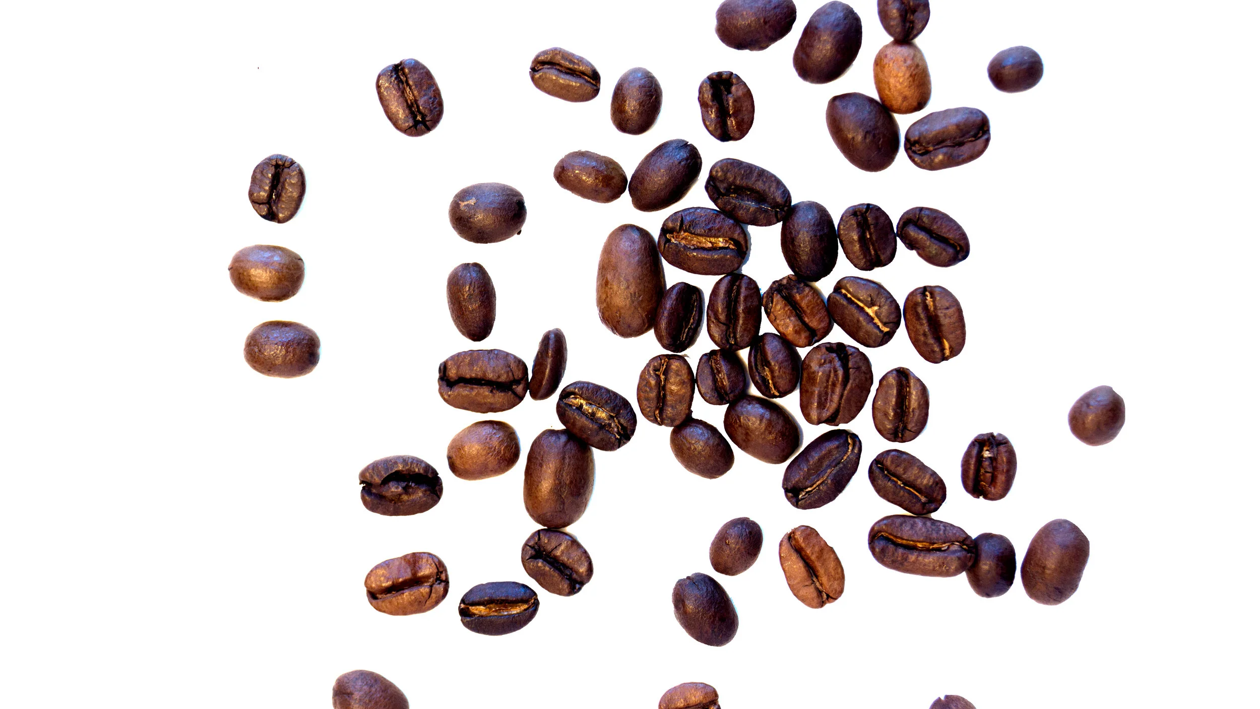 Coffee Beans