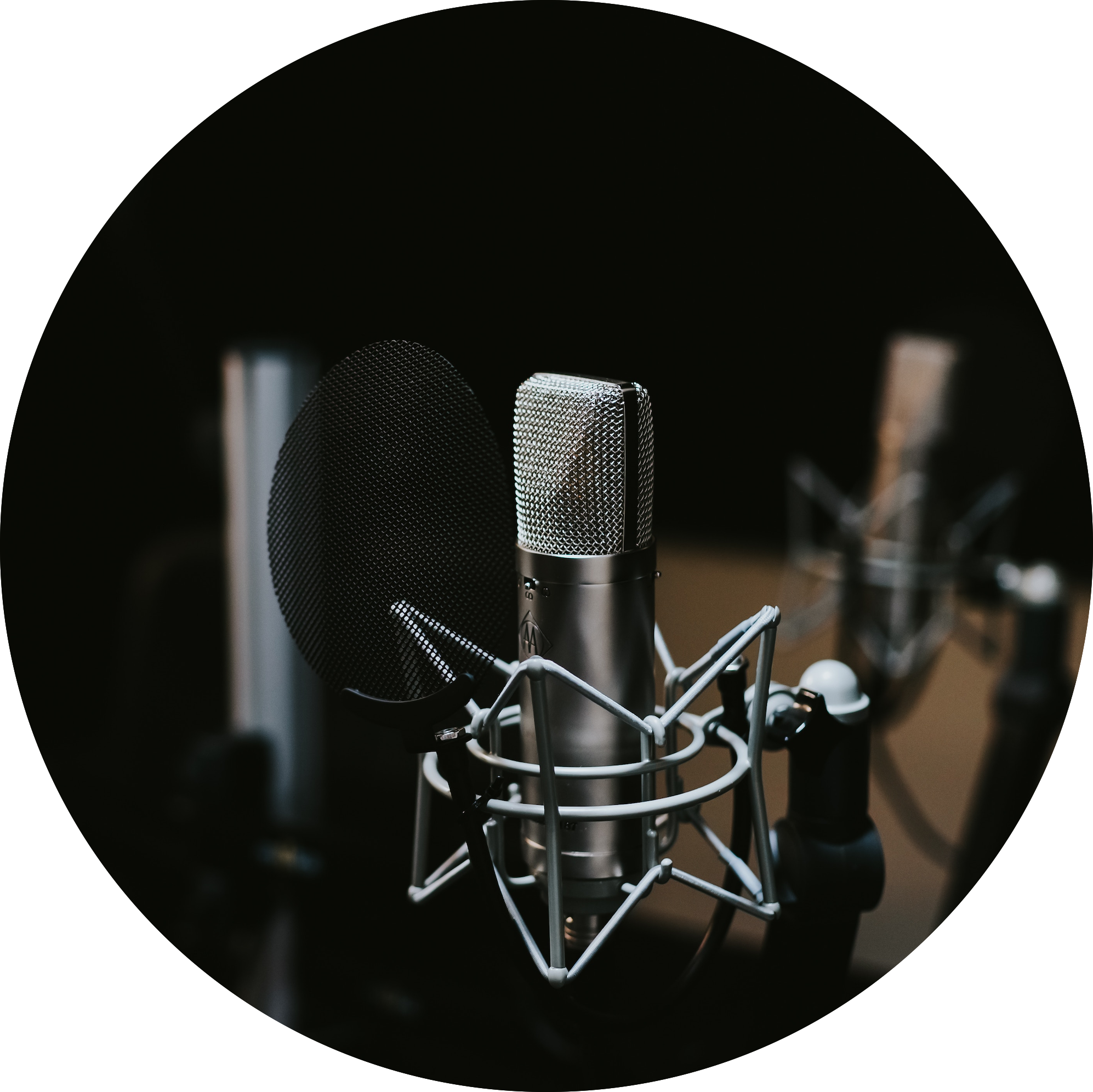 Jose Villaseñor// Turtle Talks Radio