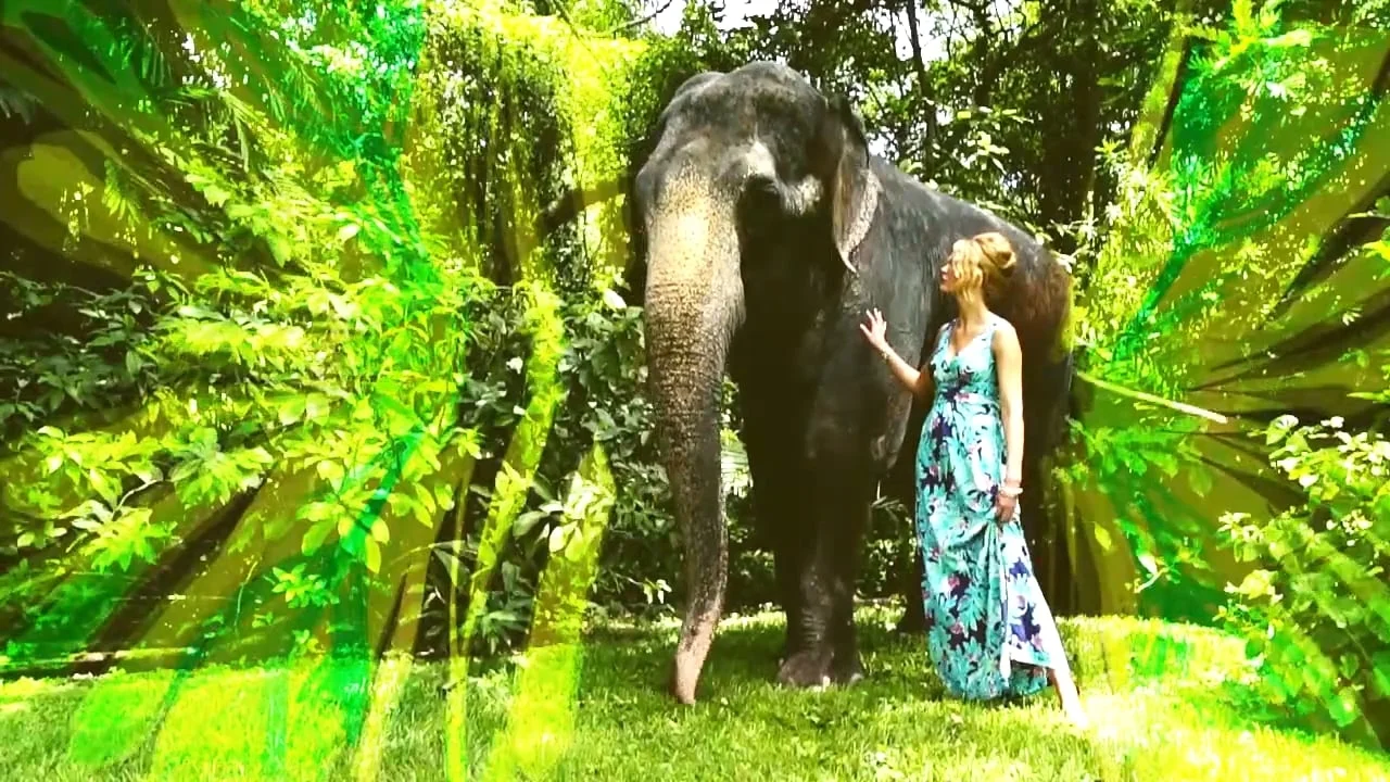 Lilly Pulitzer: Catalog W15: BTS