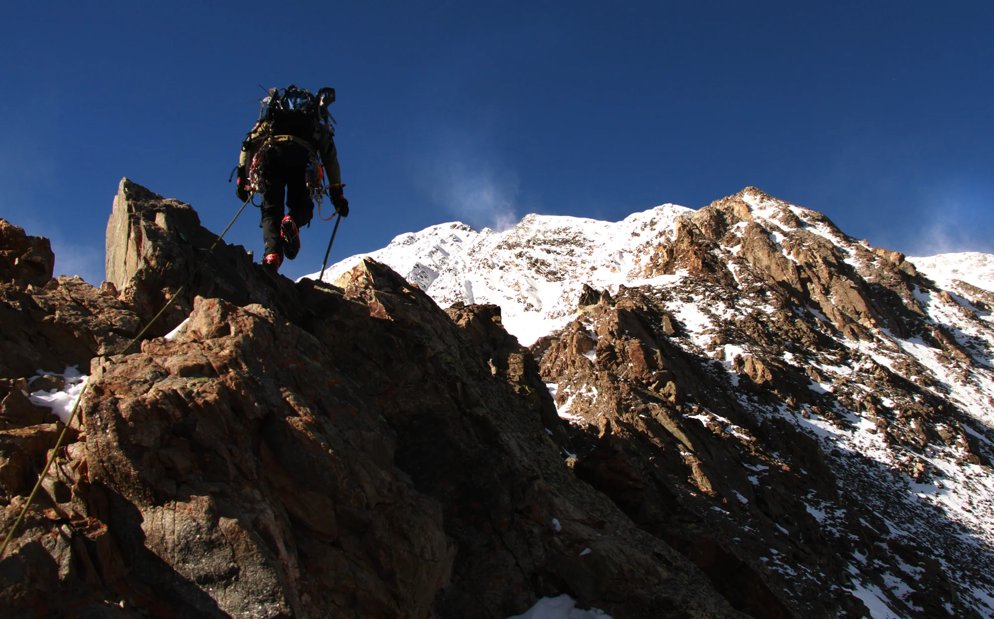 torreys.jpg