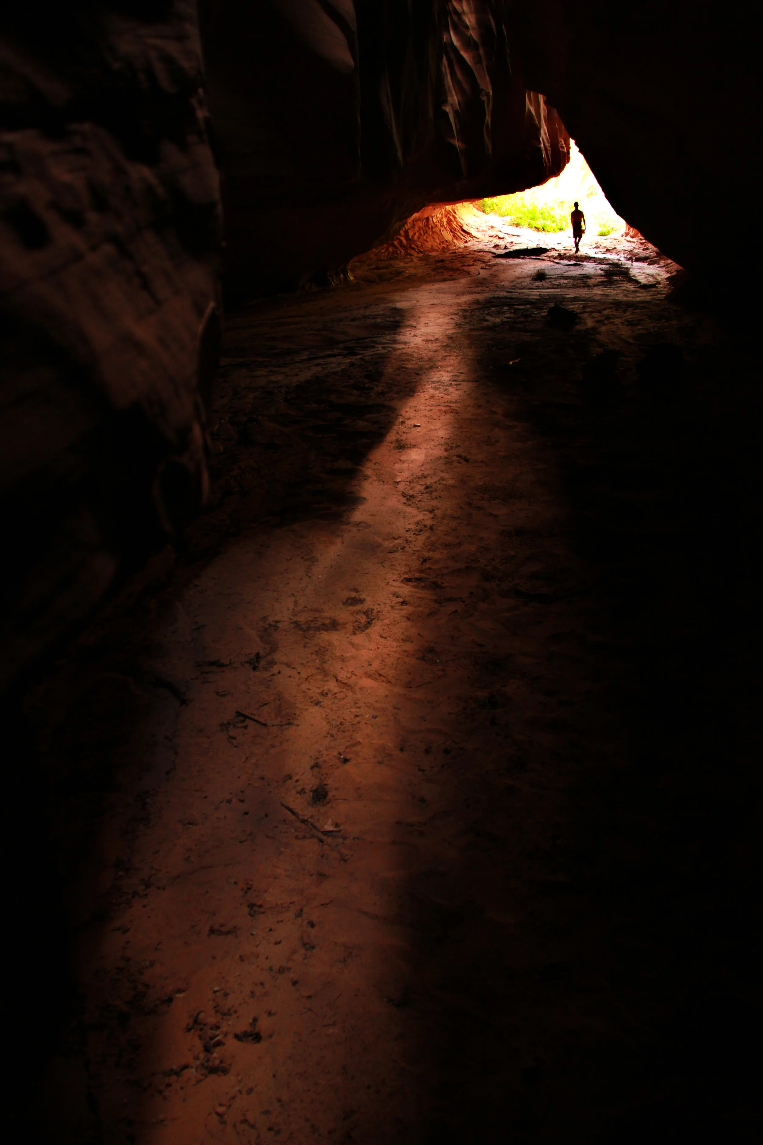 the light.jpg