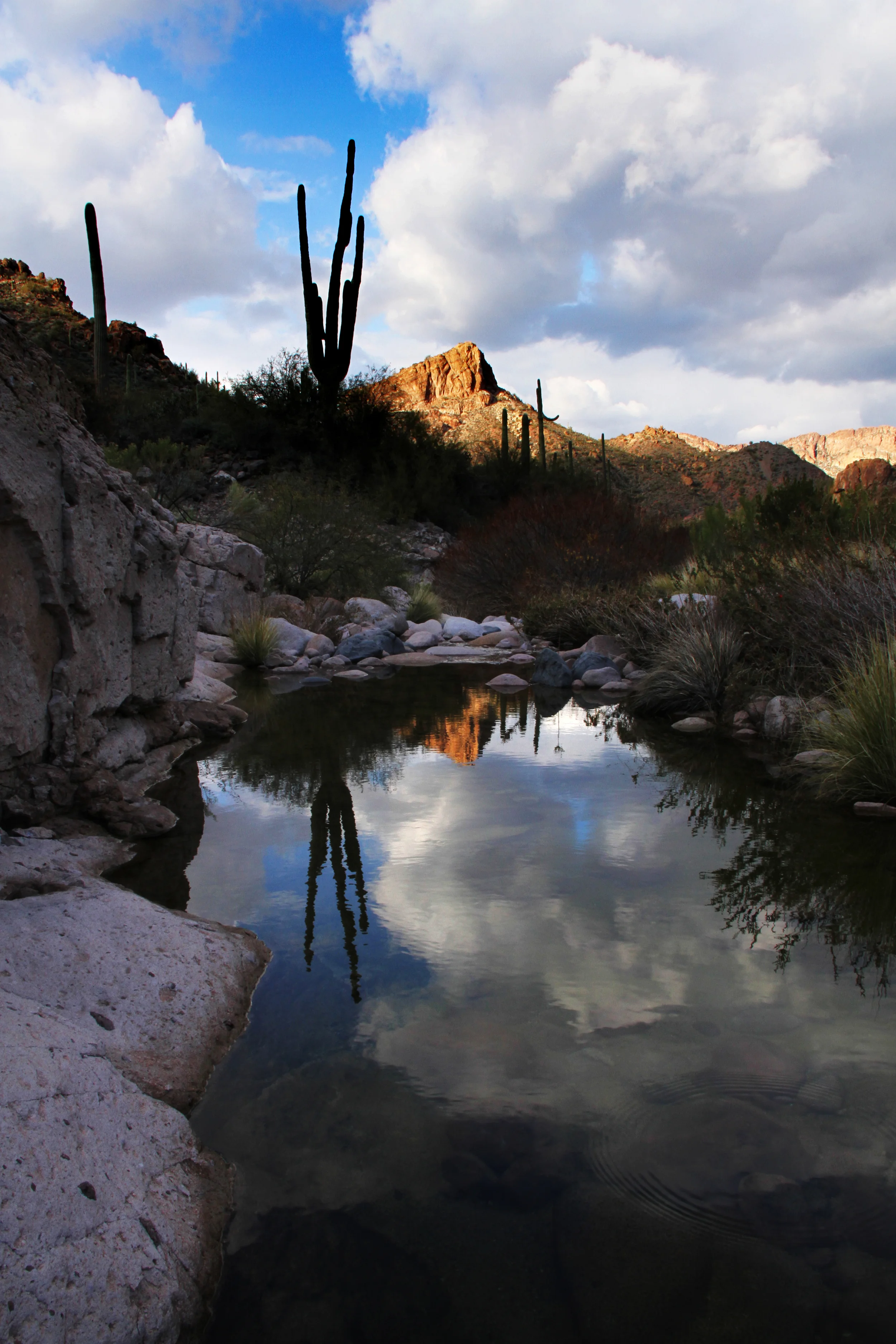 more reflections.jpg