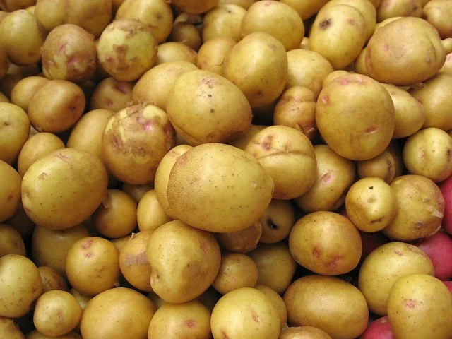  Yukon golden potatoes. Sadly they aren’t available by your blogger. 