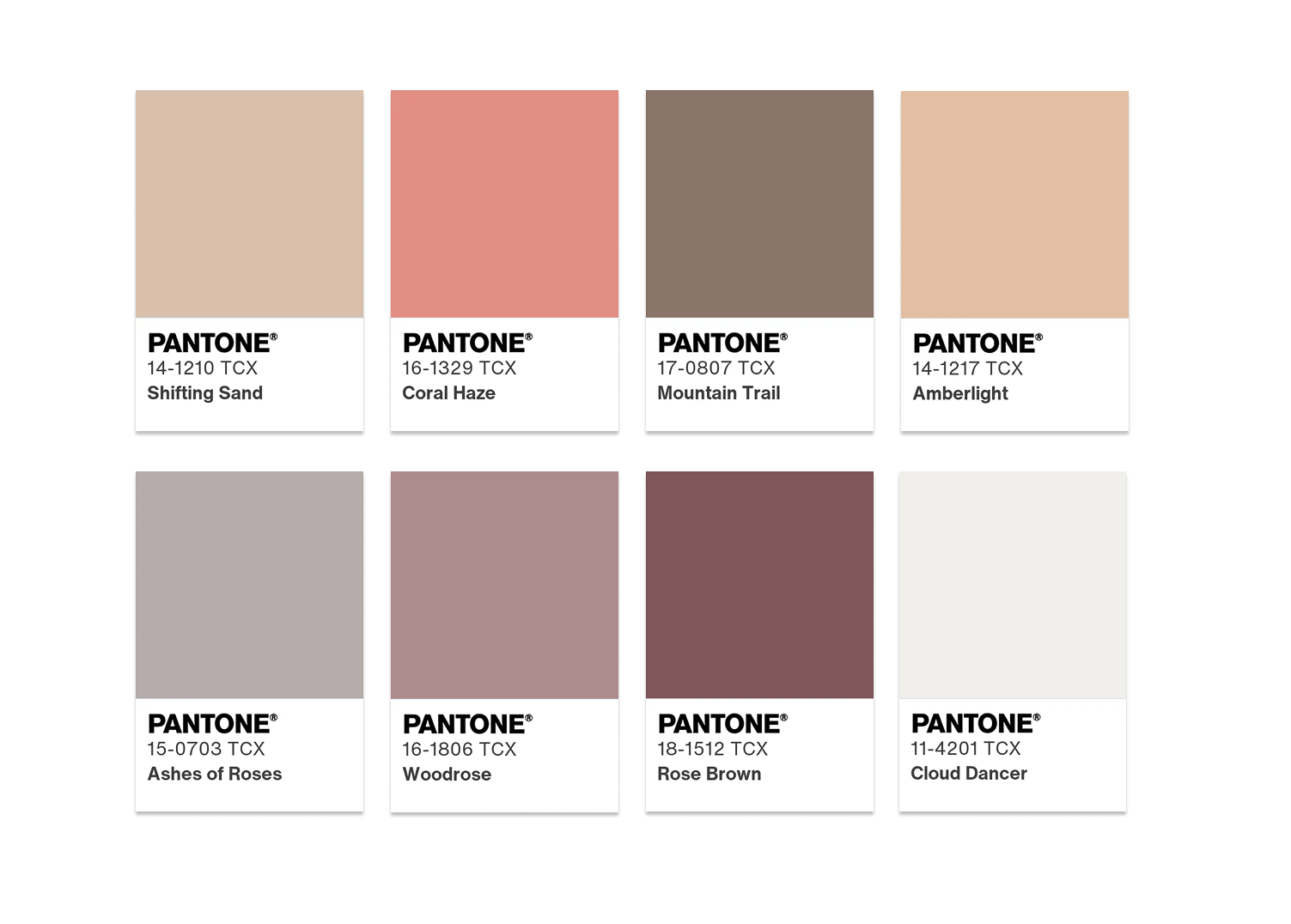 Comfort Zone Color Palette for Cloud Dancer Color of the Year 2026 Courtesy of Pantone