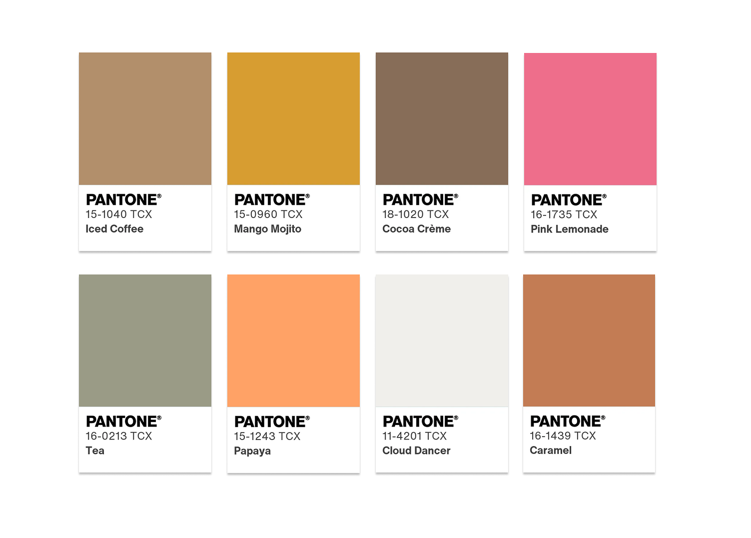 Take a Break Color Palette for Cloud Dancer Color of the Year 2026 Courtesy of Pantone