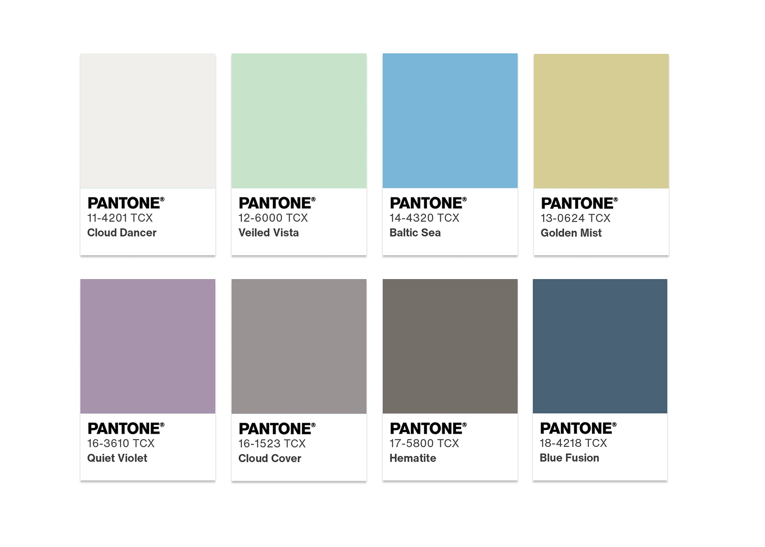 Light &amp; Shadow Color Palette for Cloud Dancer Color of the Year 2026 Courtesy of Pantone