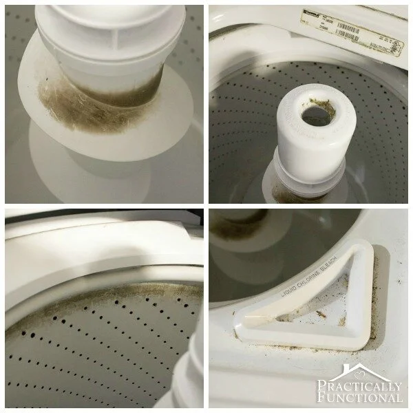  The ick on the agitator is mildew, the top of the drum is dirt, and at the chlorine tray is just floating debris.  Photo Courtesy of Practically Functional 