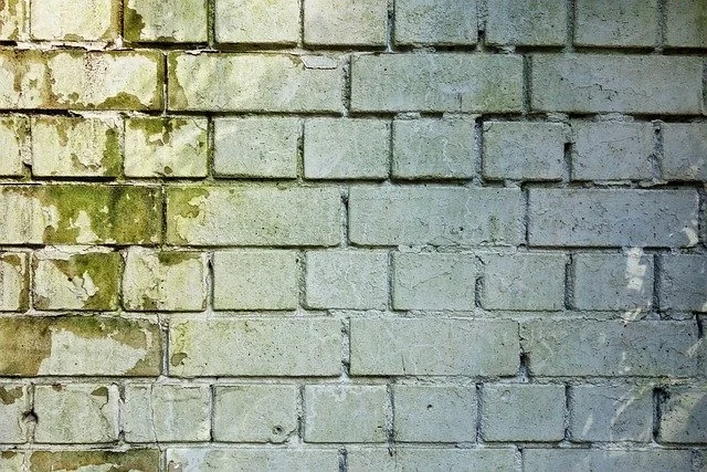 Photo: MabelAmber
