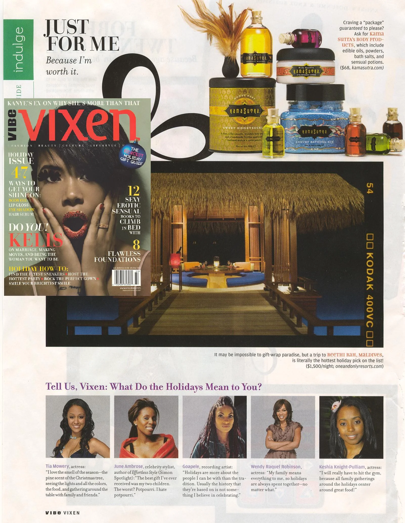 VIBE VIXEN