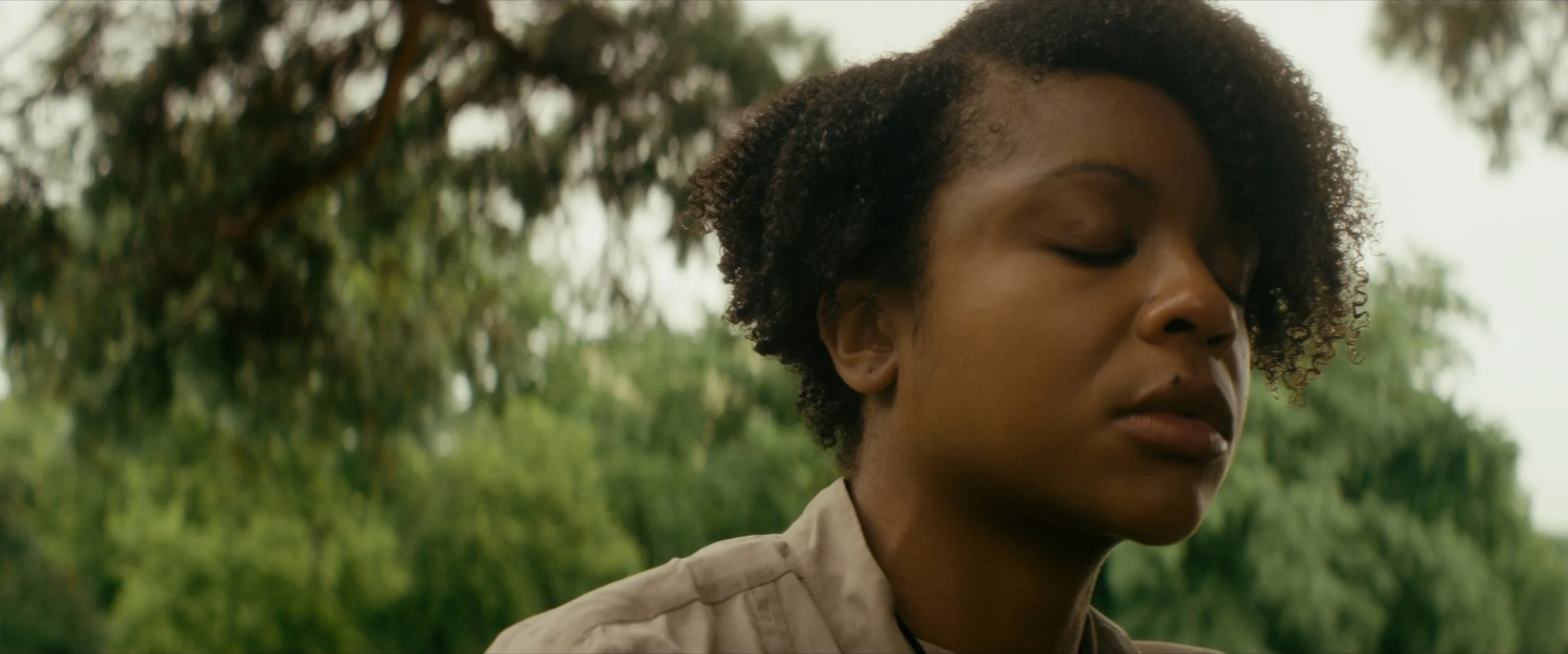 Unseen Marcus Guider DP cinematography v2.jpg