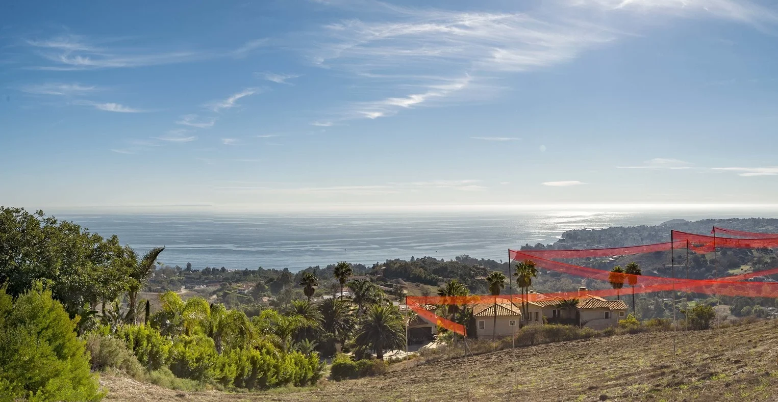 pano Murphy.jpg