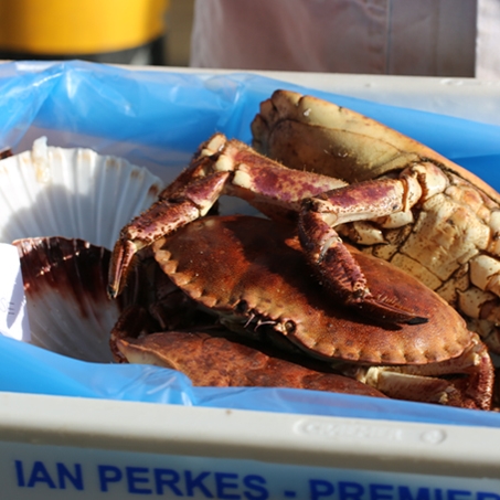 Fresh Crab