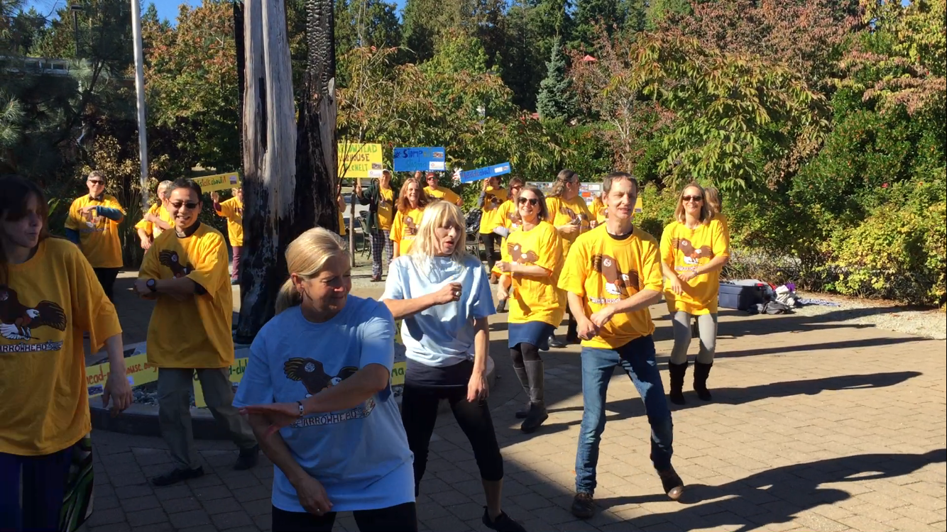 I - Flash Mob (2).png