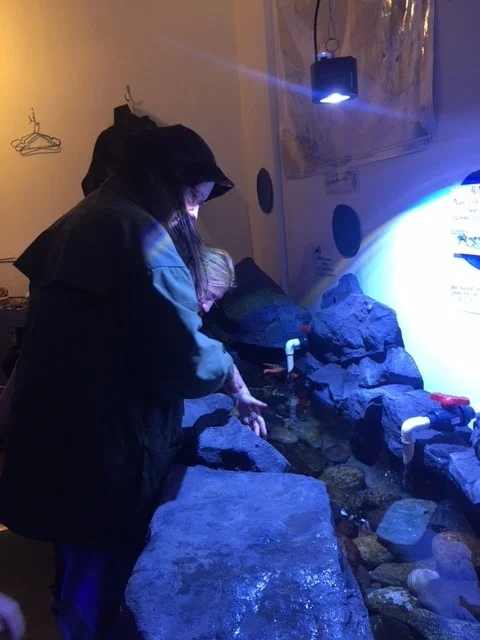 Aquarium 2.jpg