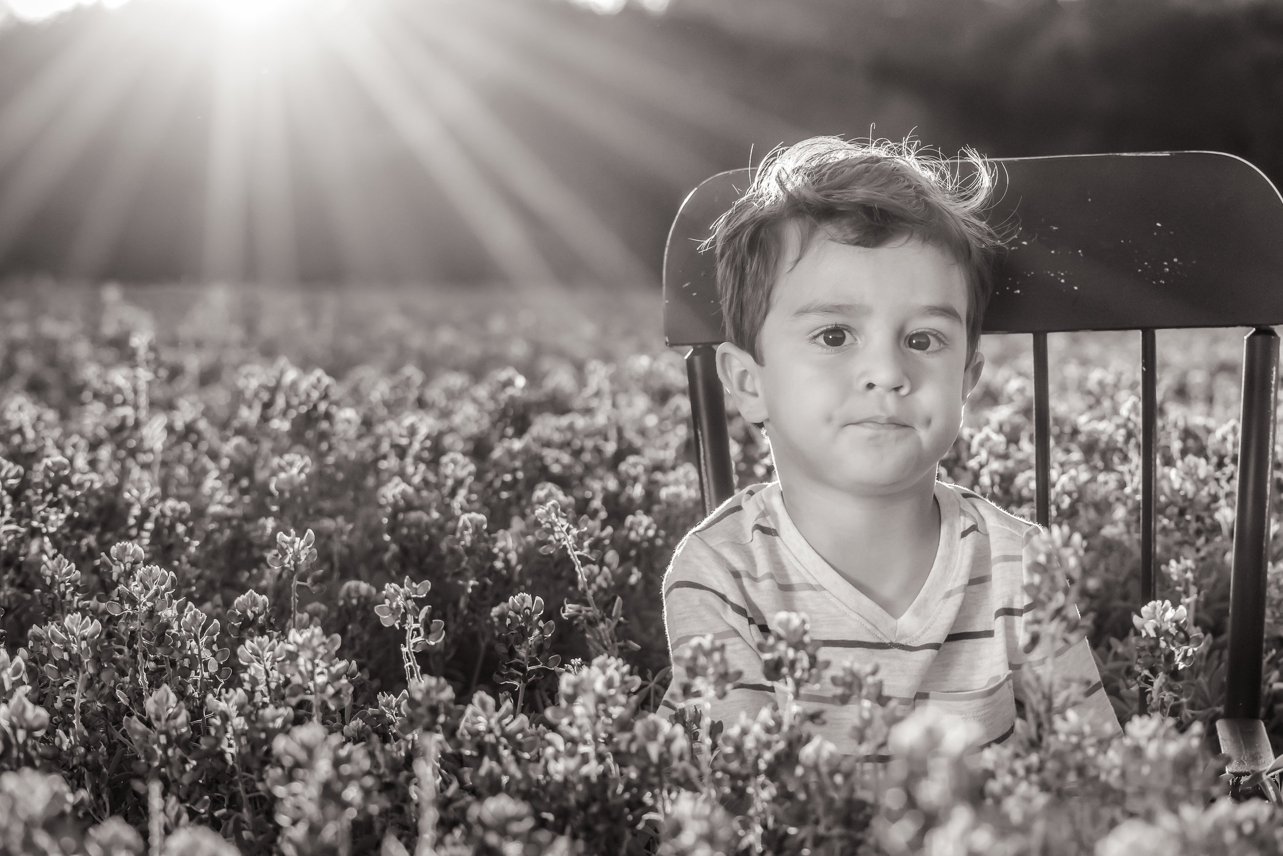 Bluebonnets Monochrome-105.jpg