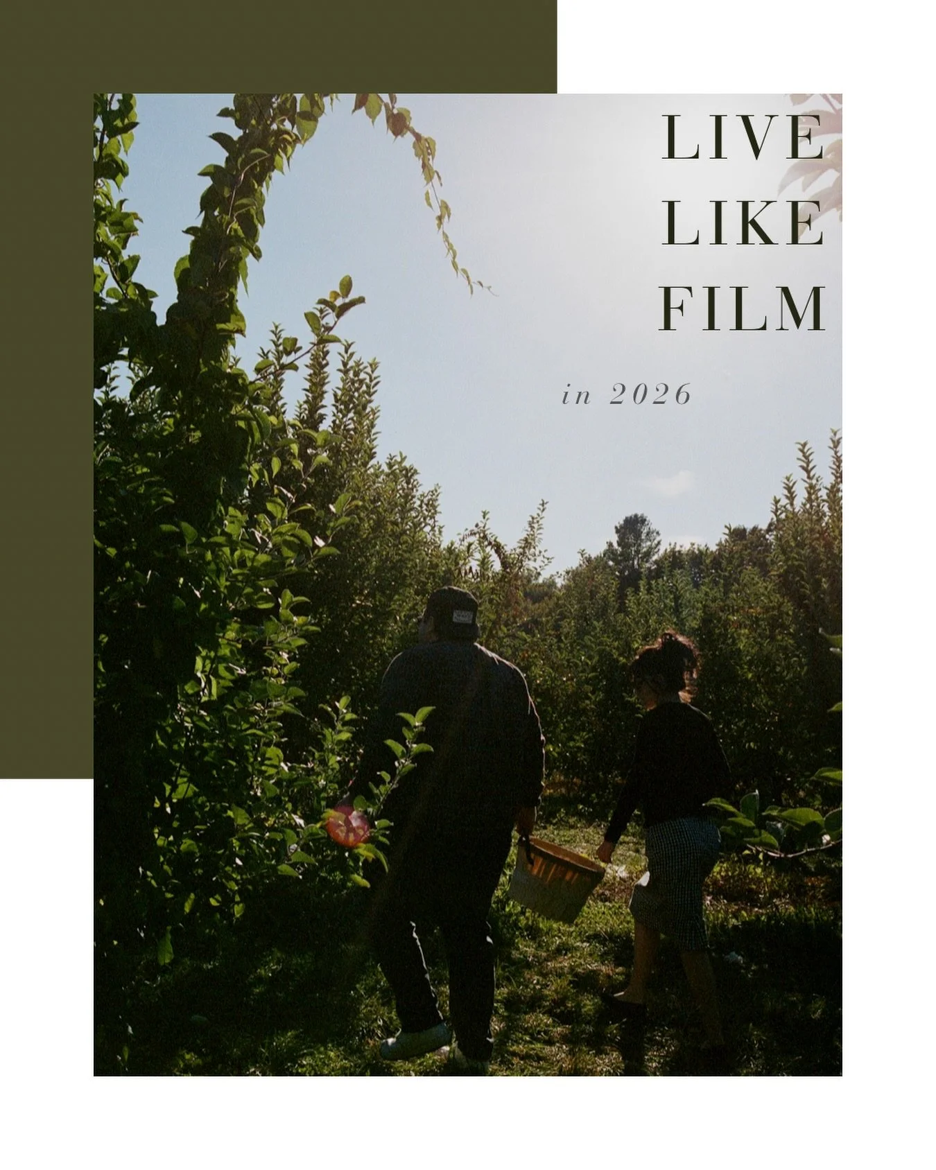 slowly, lingering in a sunbeam

#portrait #portraitphotographer #filmaesthetic #nikon35mm #kodak