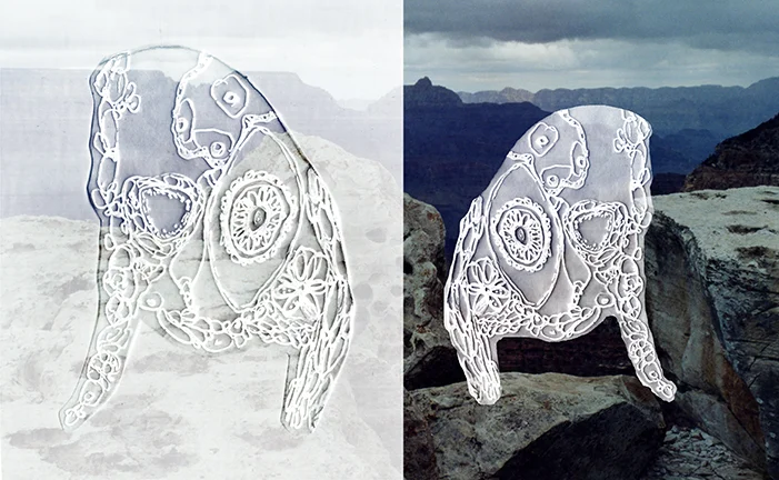 cover image edit web.jpg