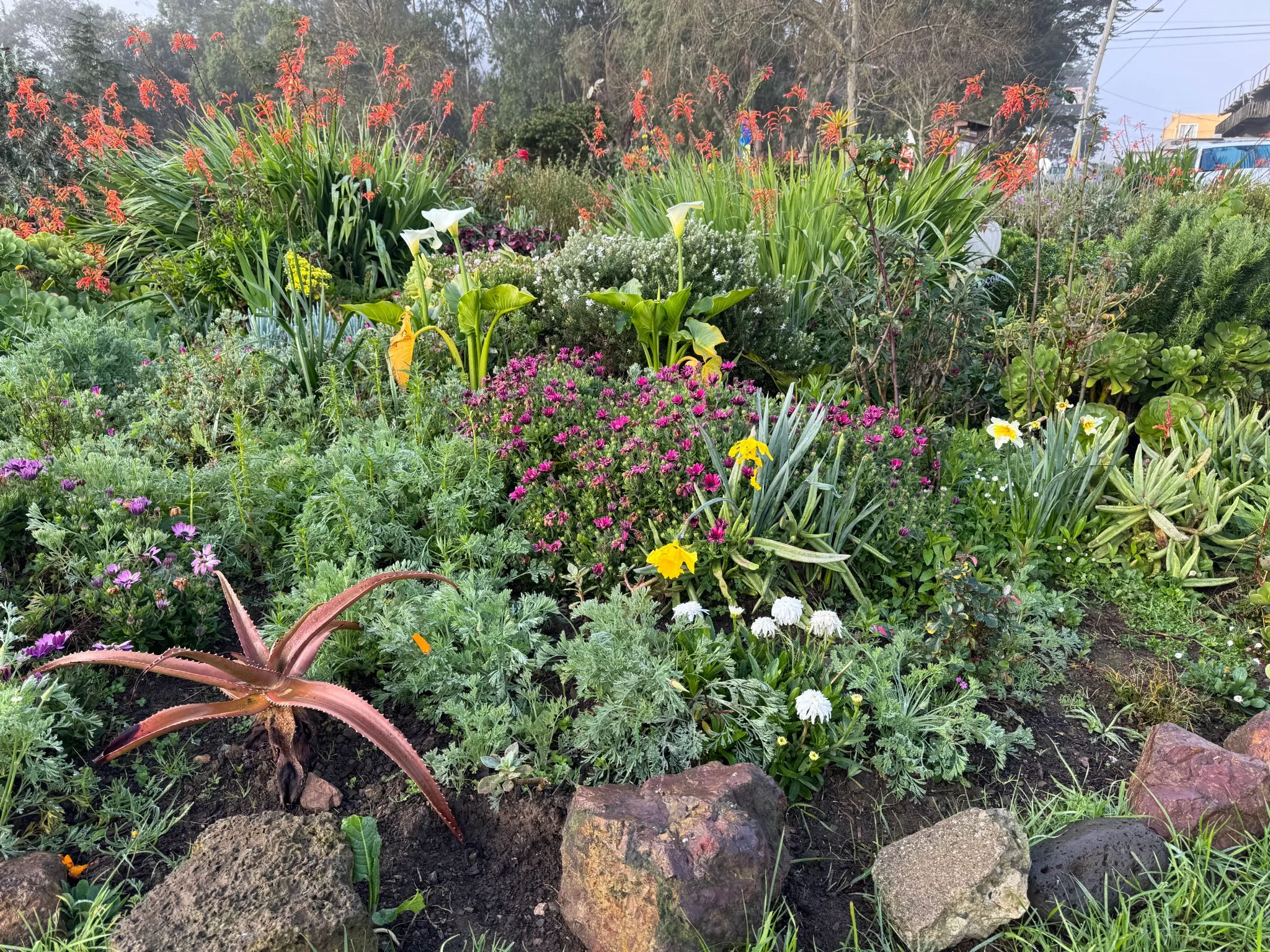 The Portola Garden Tour September 27th, 2025 10am-3pm