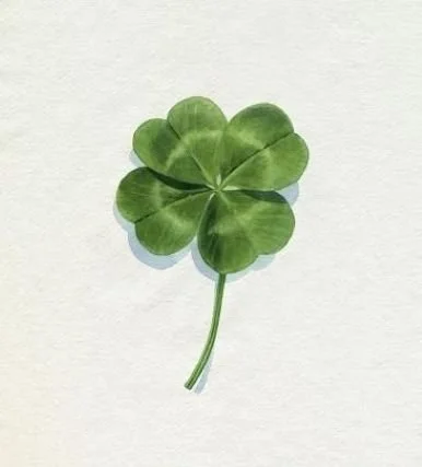 St. Patrick&rsquo;s Day is just around the corner, bringing a welcome splash of green and a spirit of celebration to our neighborhood. While the holiday is rooted in Irish heritage, it has grown into a joyful, inclusive tradition that invites everyon